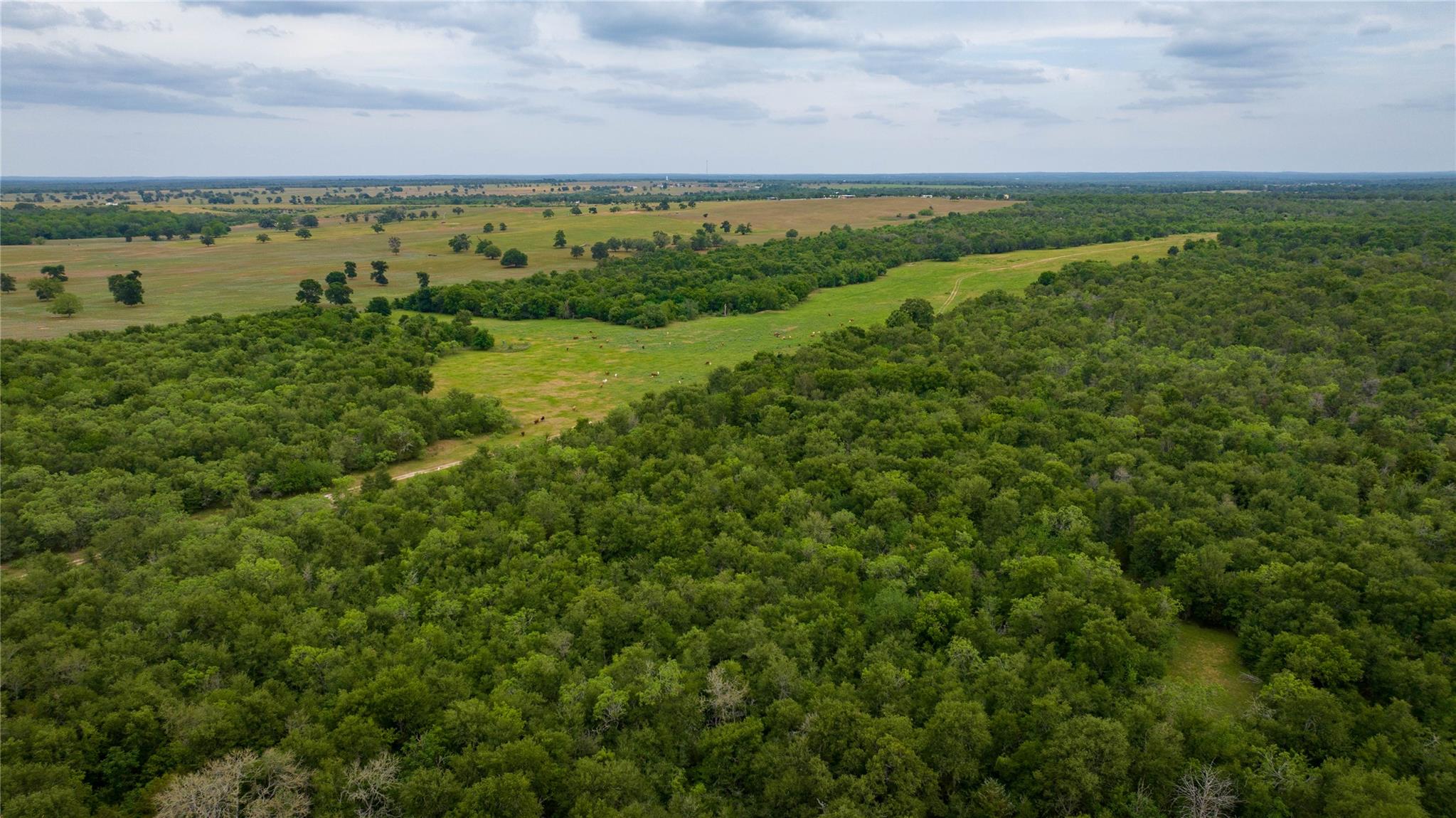TBD(1) Walter Hoffman Rd, Cedar Creek, TX 78612