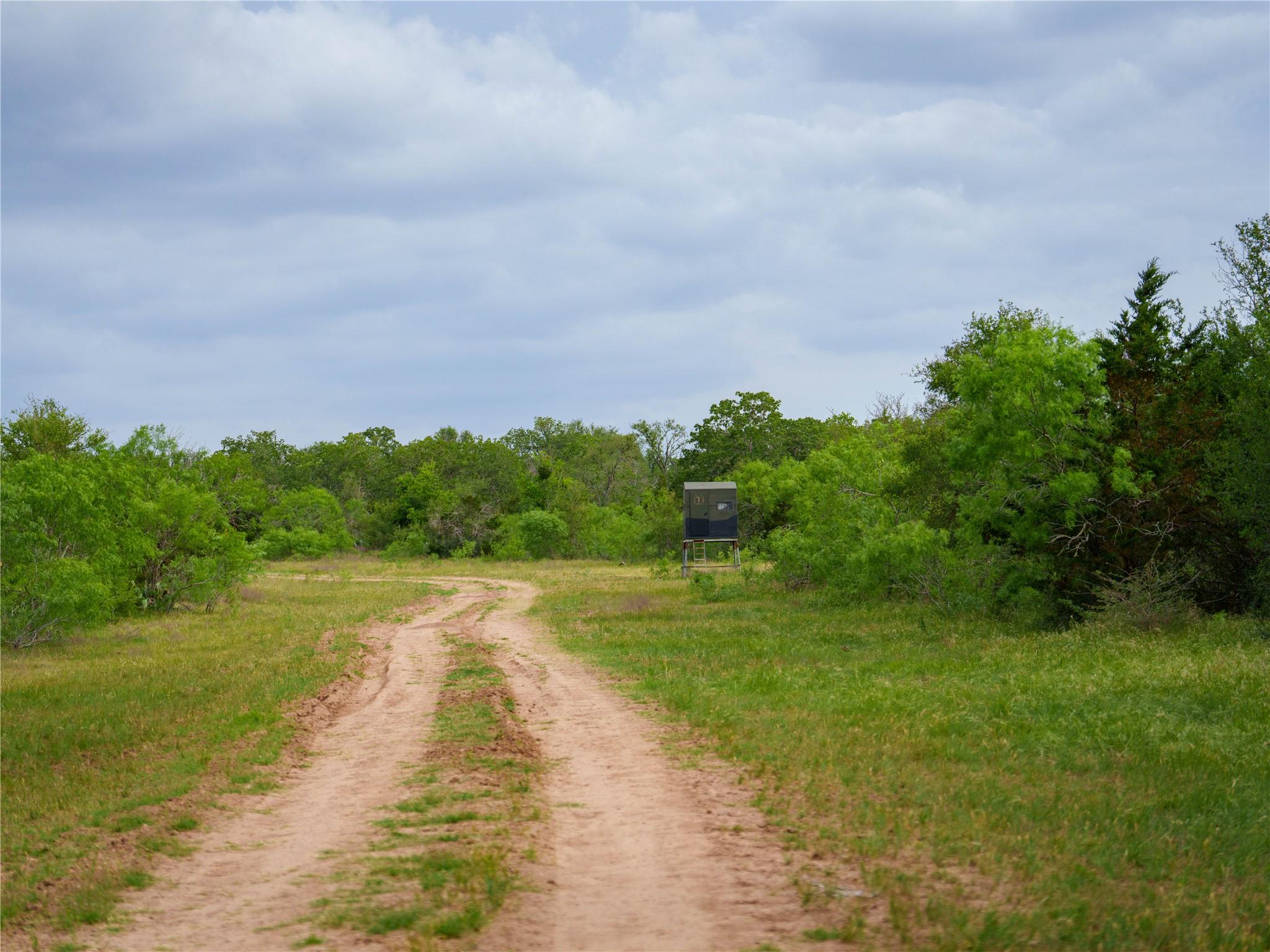 TBD(1) Walter Hoffman Rd, Cedar Creek, TX 78612