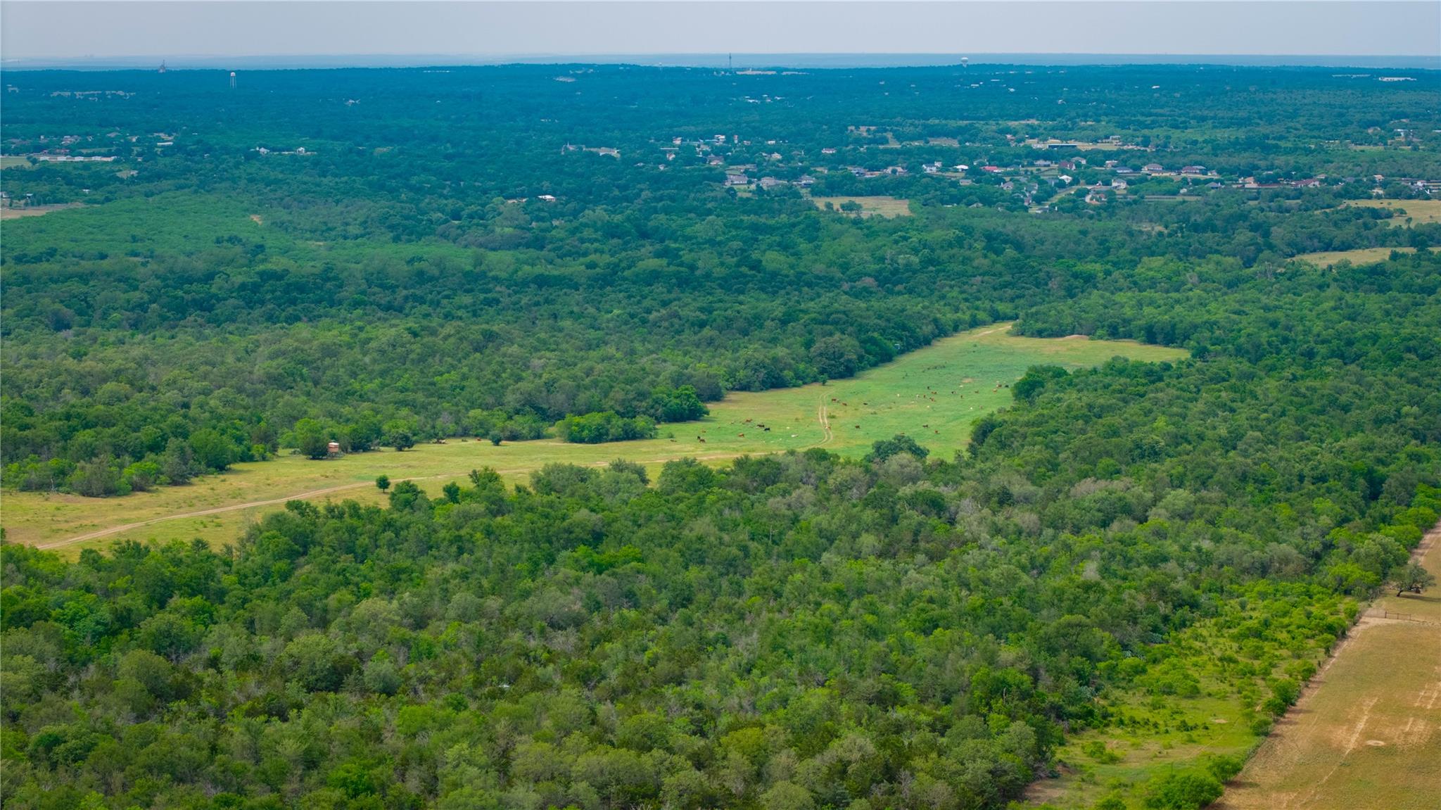 TBD(1) Walter Hoffman Rd, Cedar Creek, TX 78612