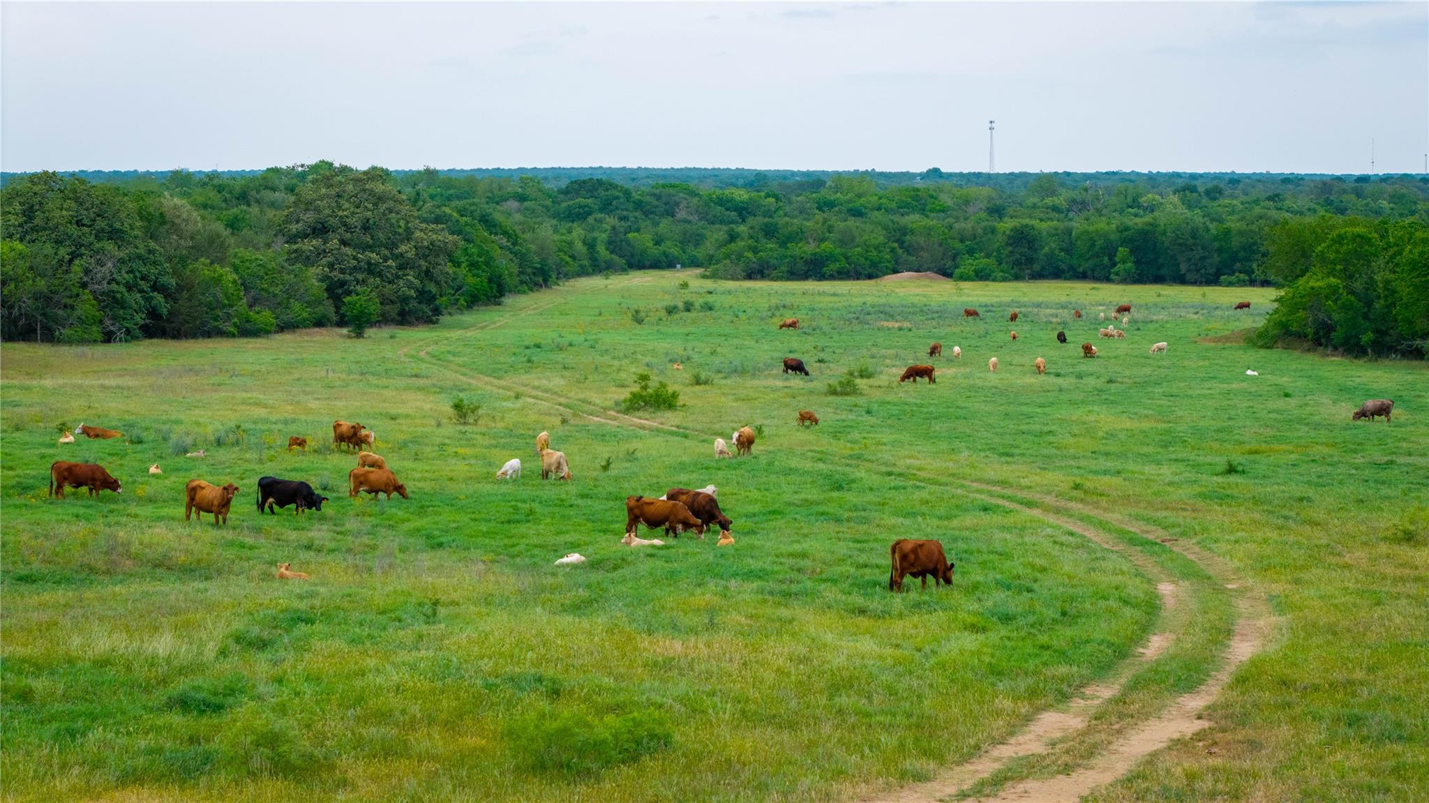 TBD(1) Walter Hoffman Rd, Cedar Creek, TX 78612