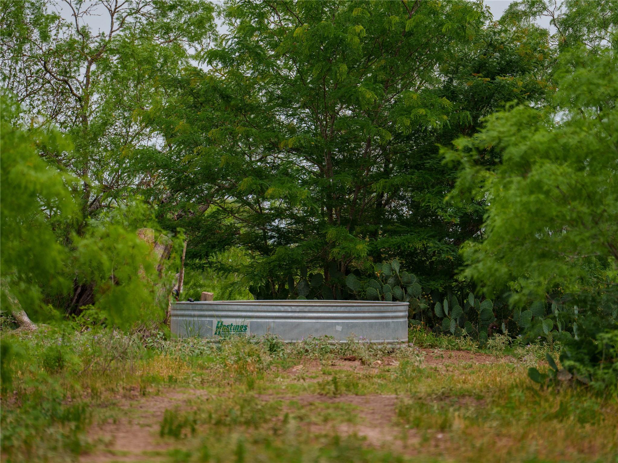 TBD(1) Walter Hoffman Rd, Cedar Creek, TX 78612