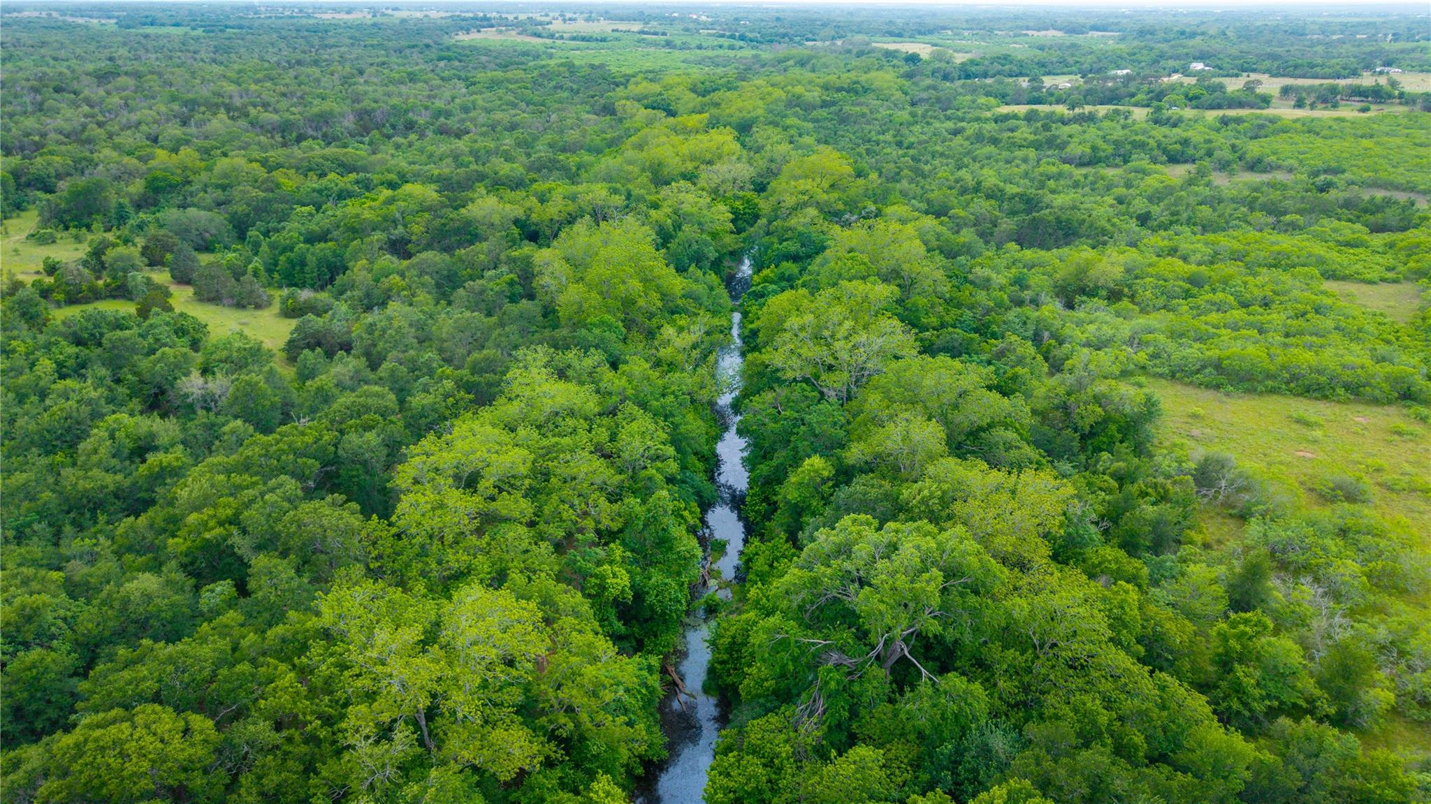 TBD(1) Walter Hoffman Rd, Cedar Creek, TX 78612
