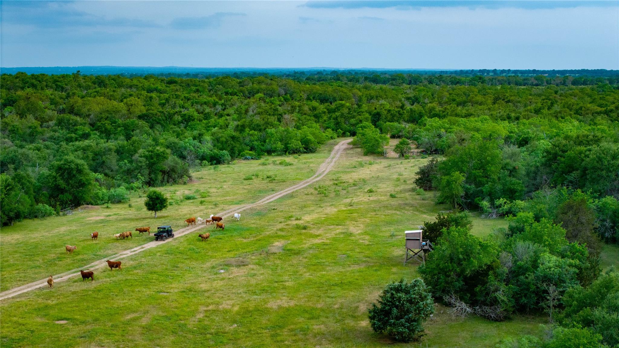 TBD(1) Walter Hoffman Rd, Cedar Creek, TX 78612