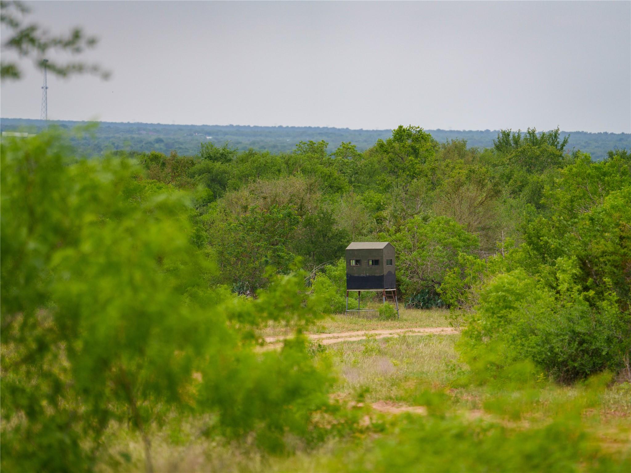 TBD(1) Walter Hoffman Rd, Cedar Creek, TX 78612