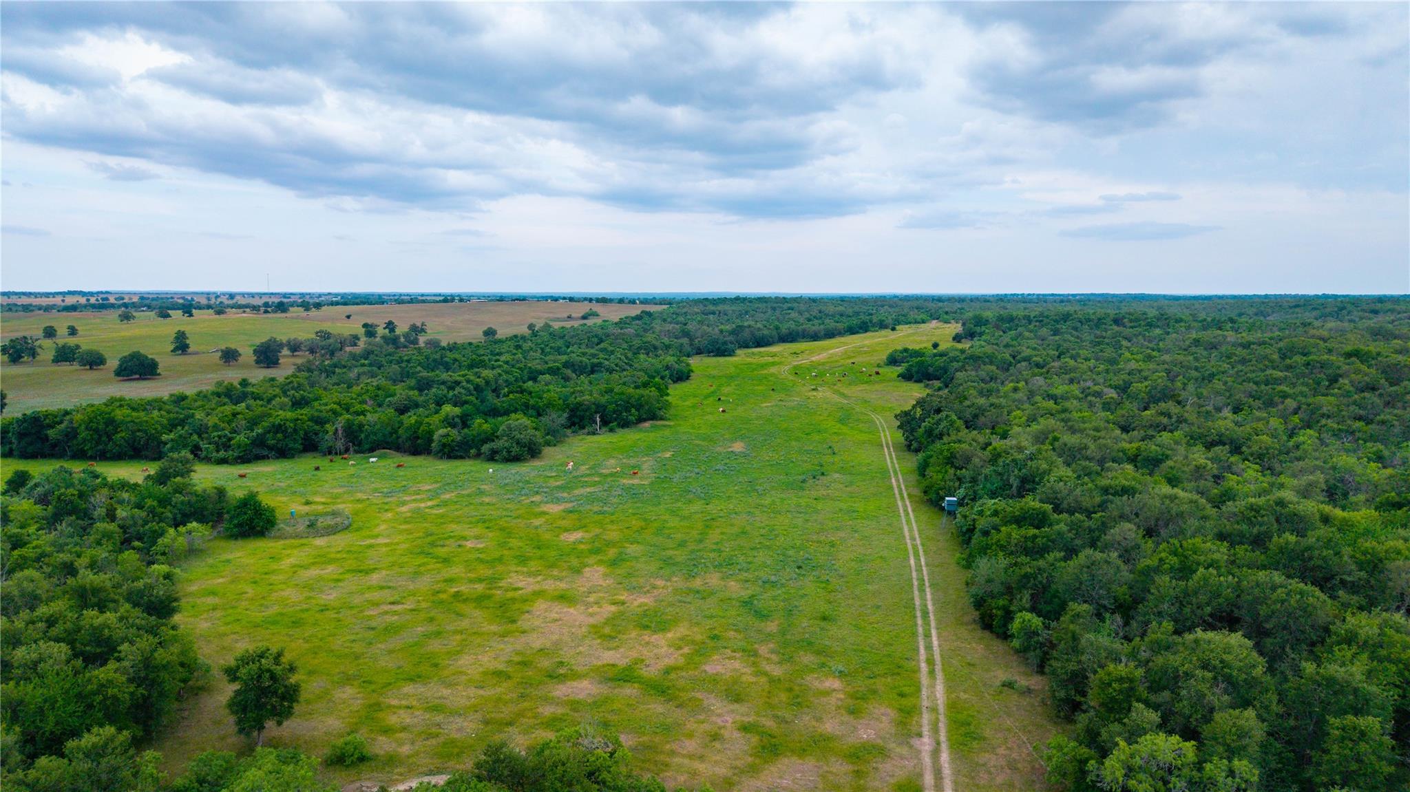 TBD(1) Walter Hoffman Rd, Cedar Creek, TX 78612