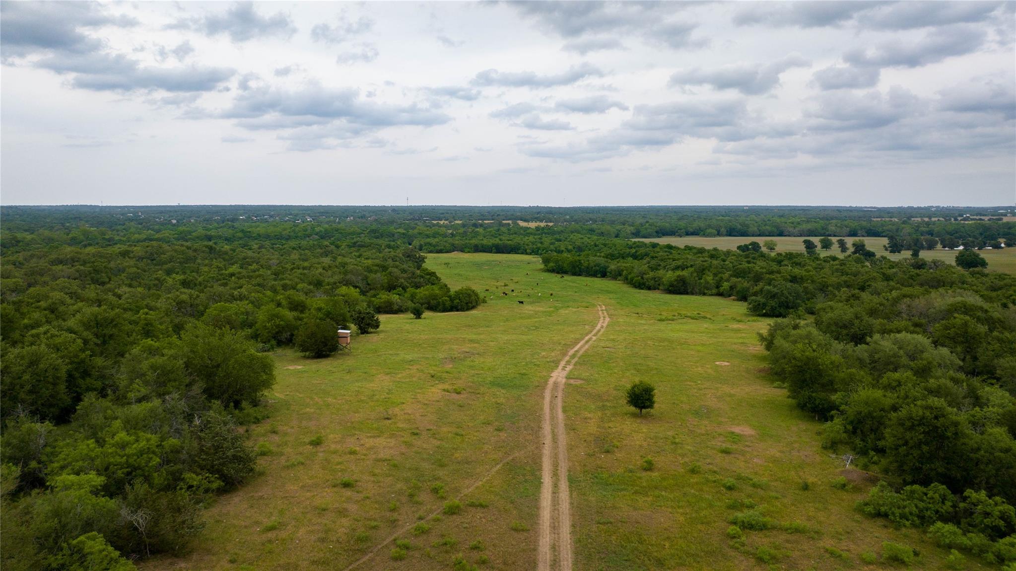 TBD(1) Walter Hoffman Rd, Cedar Creek, TX 78612