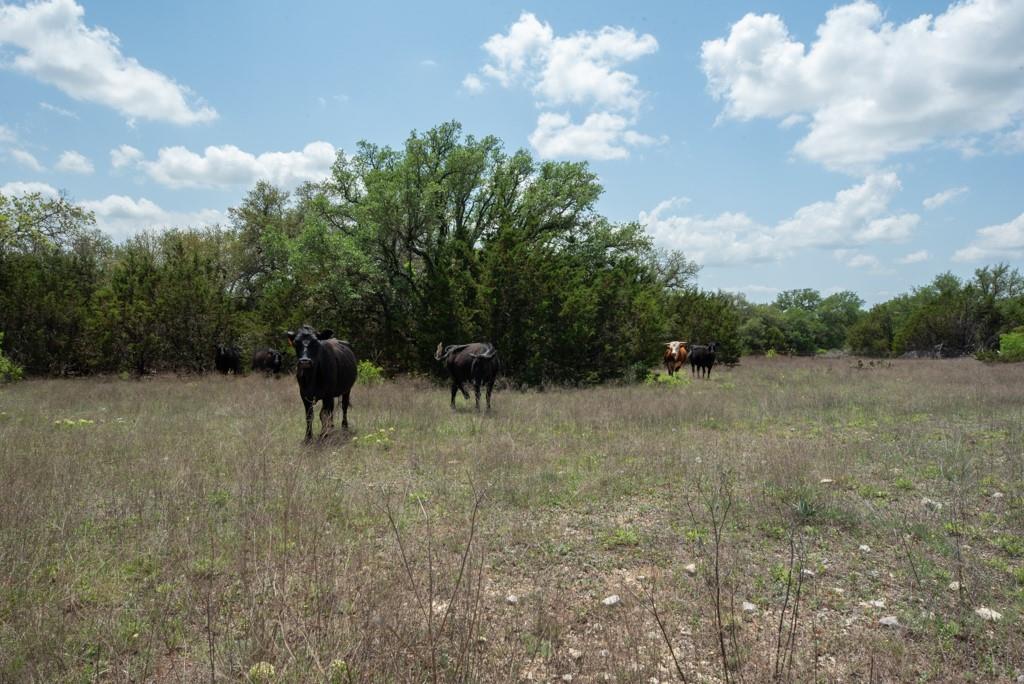 287 County Road 2722, Lometa, TX 76853