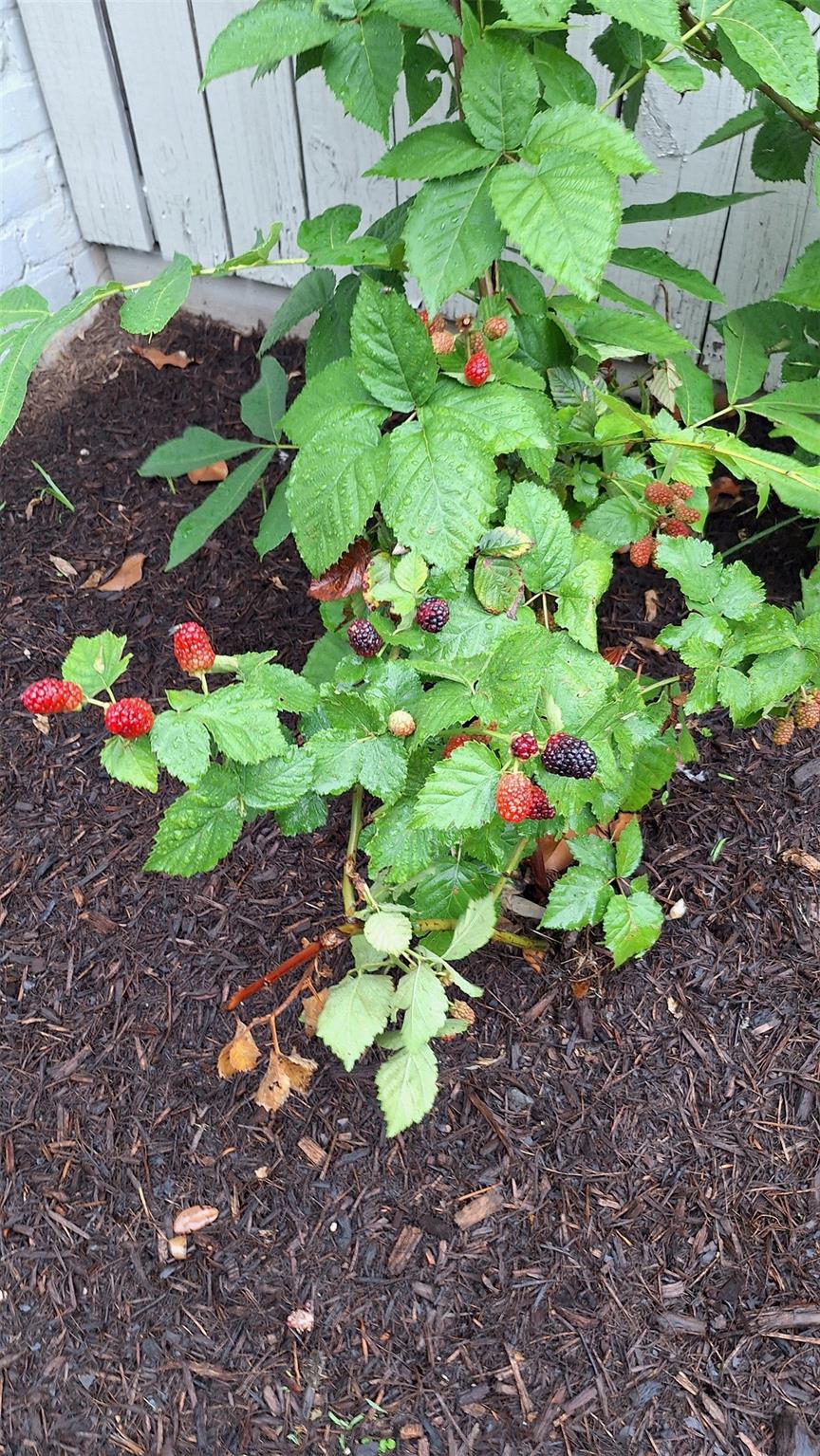 2201 mission hill Cir, Austin, TX 78741