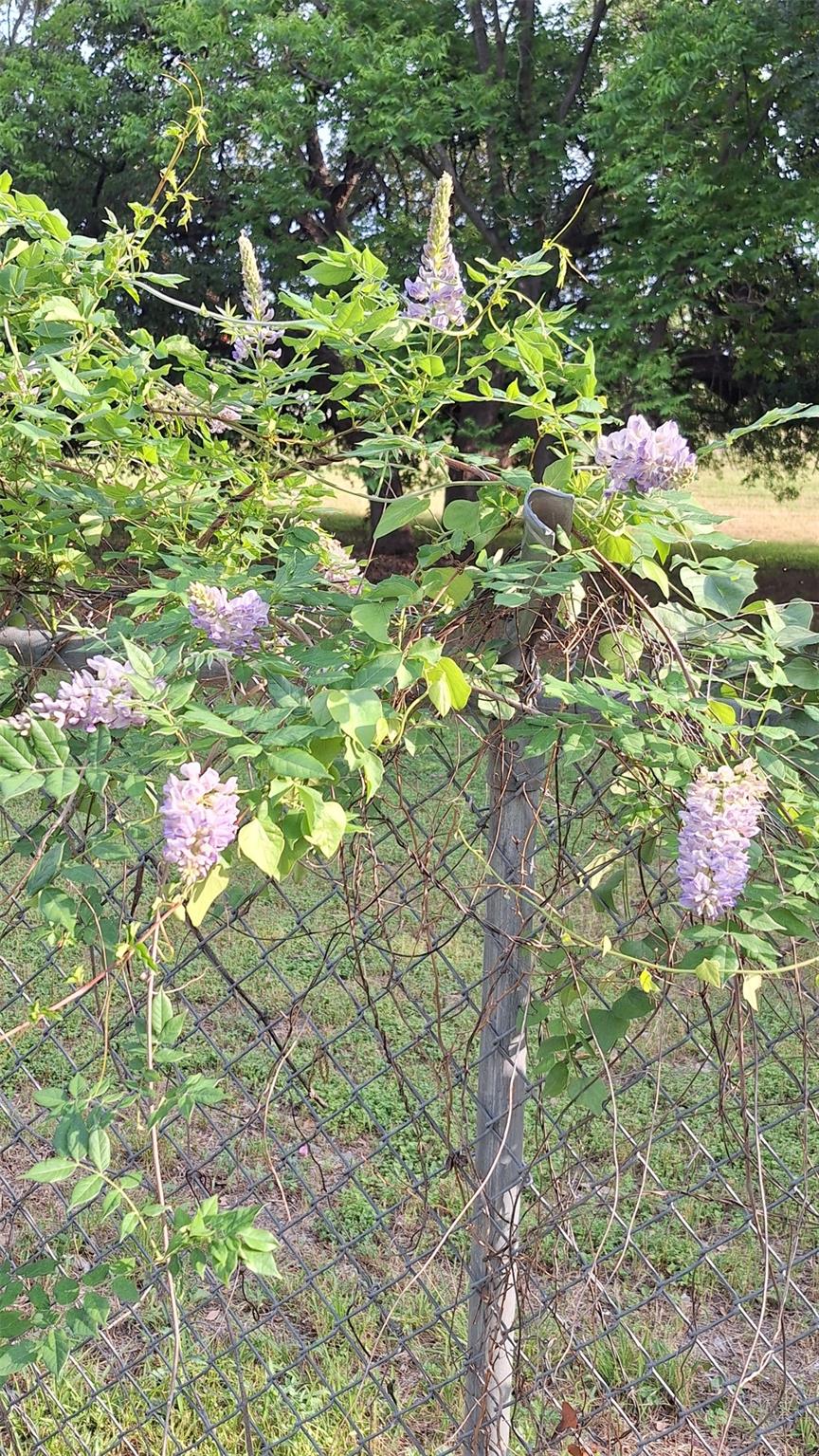 2201 mission hill Cir, Austin, TX 78741