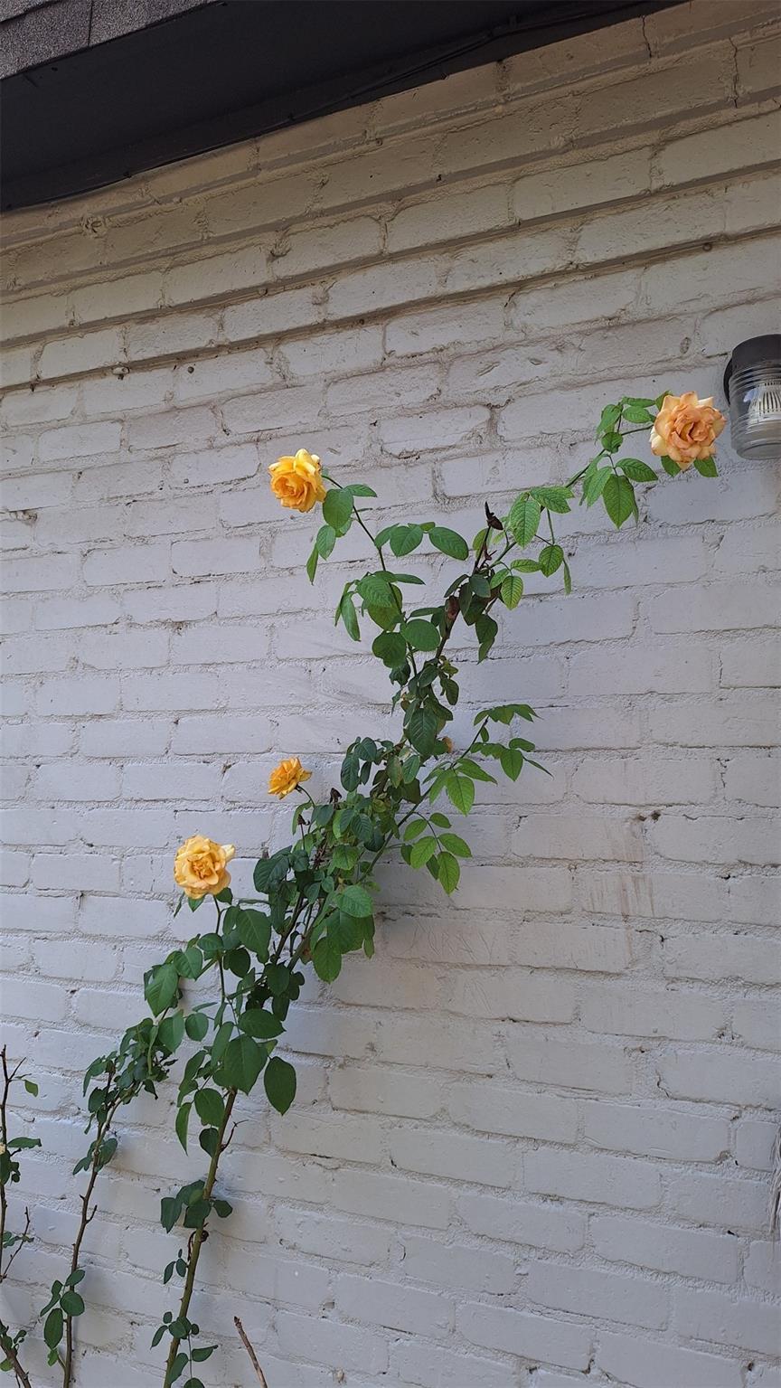 2201 mission hill Cir, Austin, TX 78741