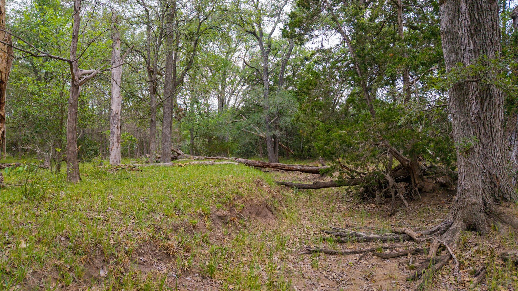 TBD(2) Walter Hoffman Rd, Cedar Creek, TX 78612