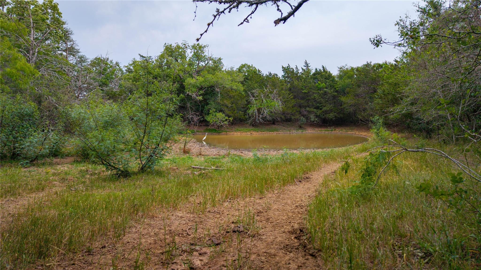 TBD(2) Walter Hoffman Rd, Cedar Creek, TX 78612