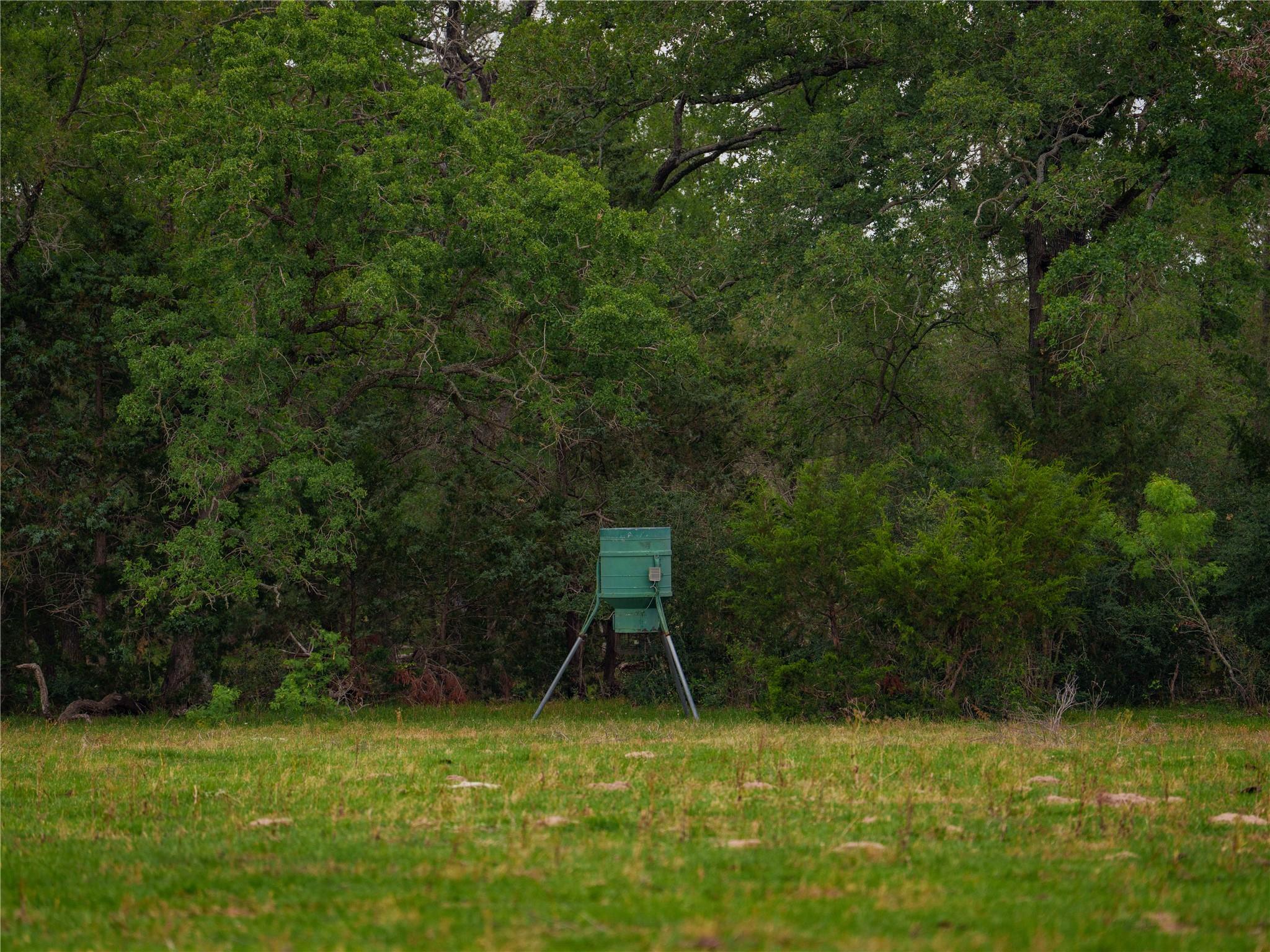 TBD(2) Walter Hoffman Rd, Cedar Creek, TX 78612