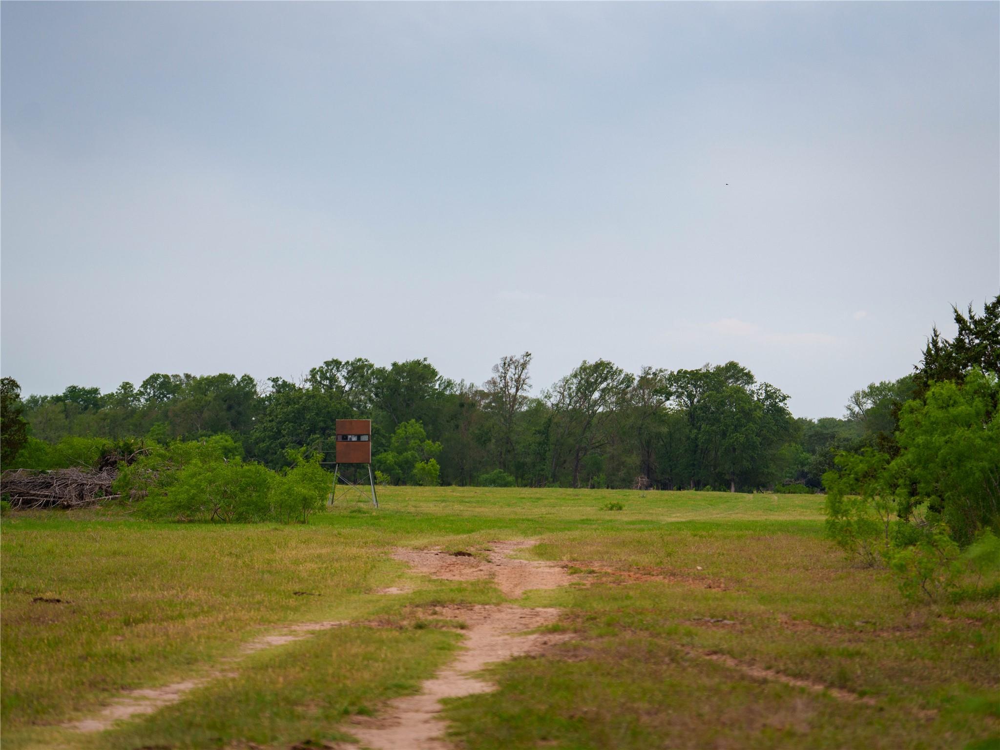 TBD(2) Walter Hoffman Rd, Cedar Creek, TX 78612