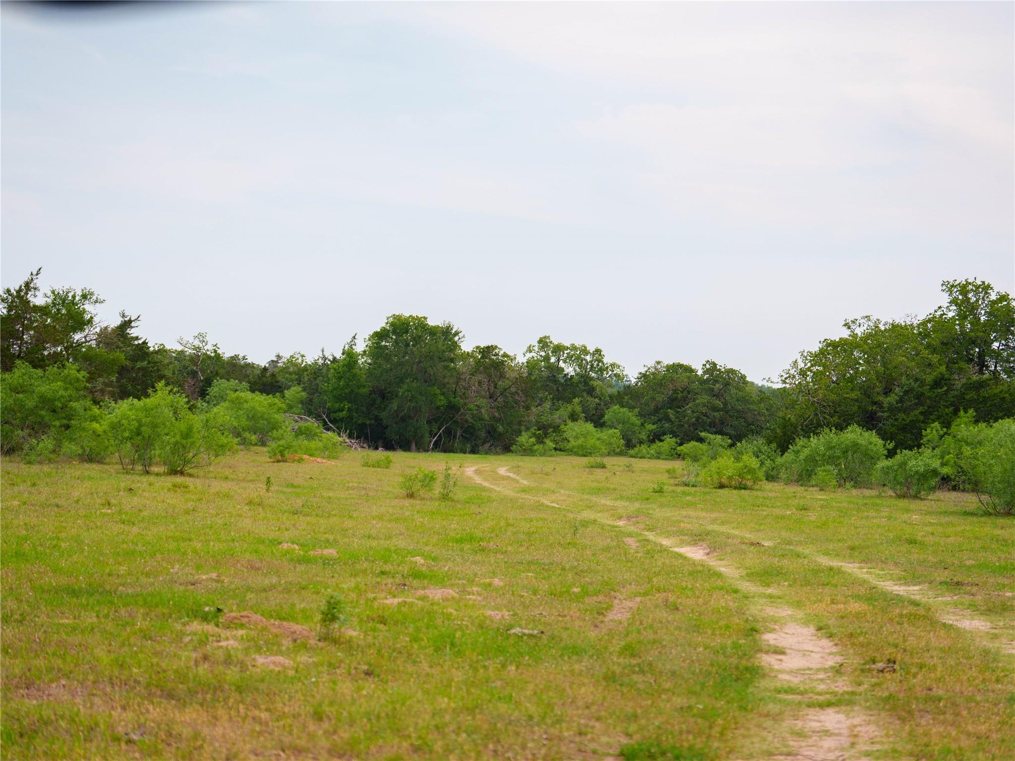 TBD(2) Walter Hoffman Rd, Cedar Creek, TX 78612