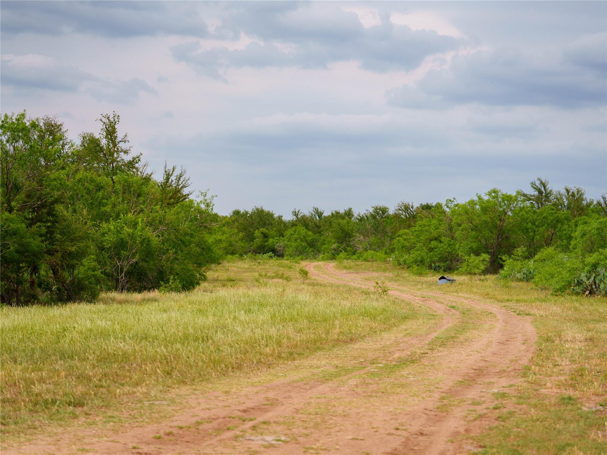 TBD(2) Walter Hoffman Rd, Cedar Creek, TX 78612