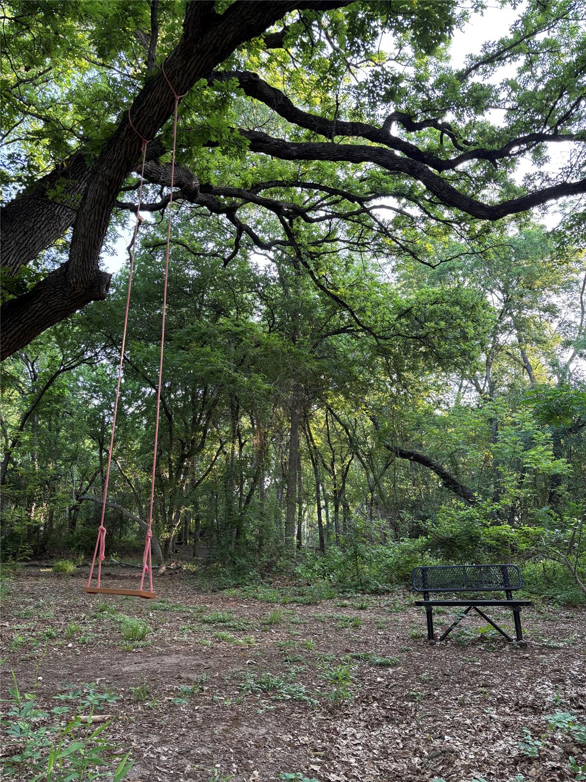 1401 Brixey Cv, Austin, TX 78754