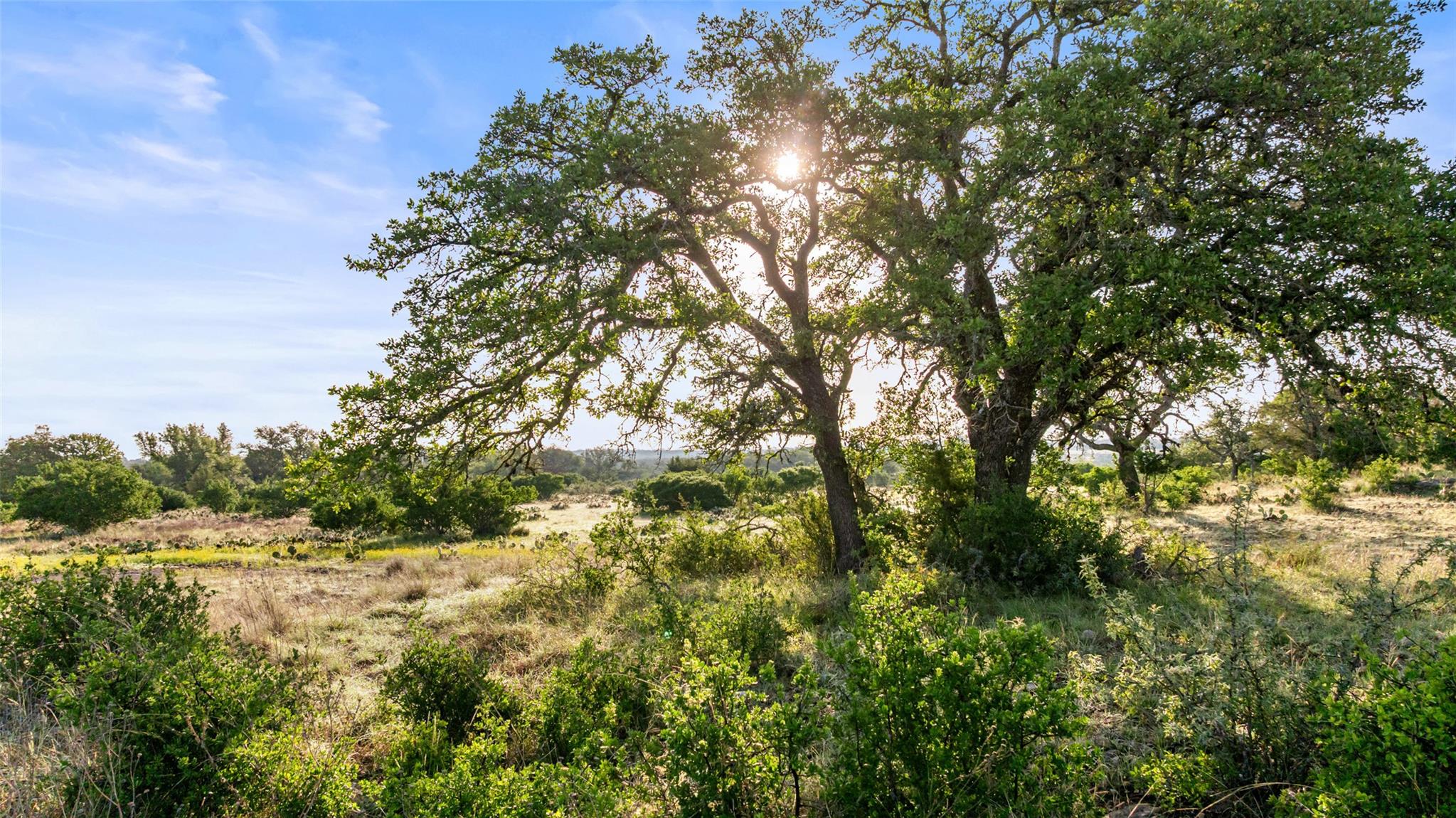 Lot 3 & 4 Vista Ridge Dr, Round Mountain, TX 78663