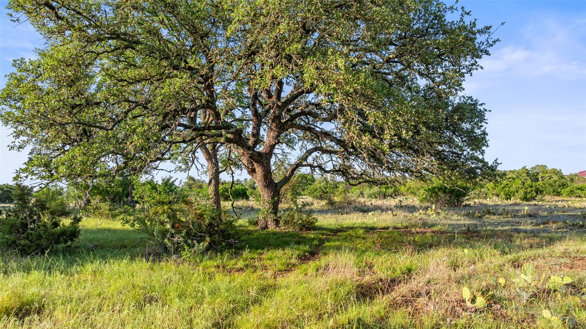 Lot 3 & 4 Vista Ridge Dr, Round Mountain, TX 78663
