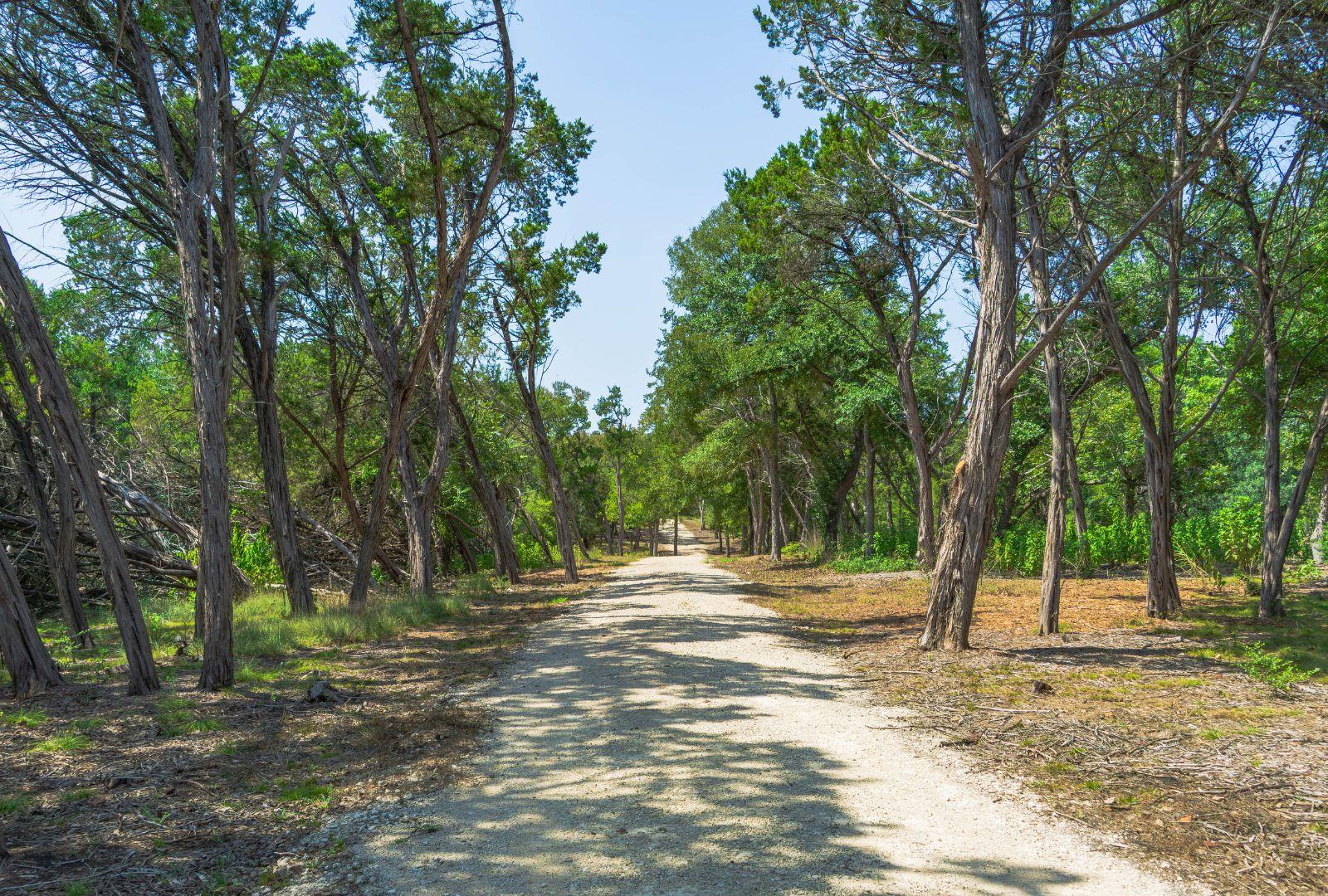 11916 Jim Bridger Dr, Austin, TX 78737