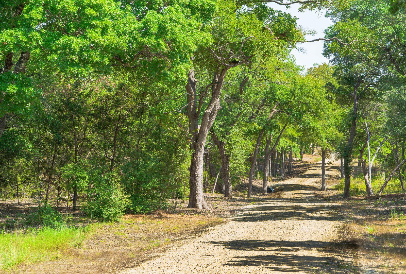 11916 Jim Bridger Dr, Austin, TX 78737