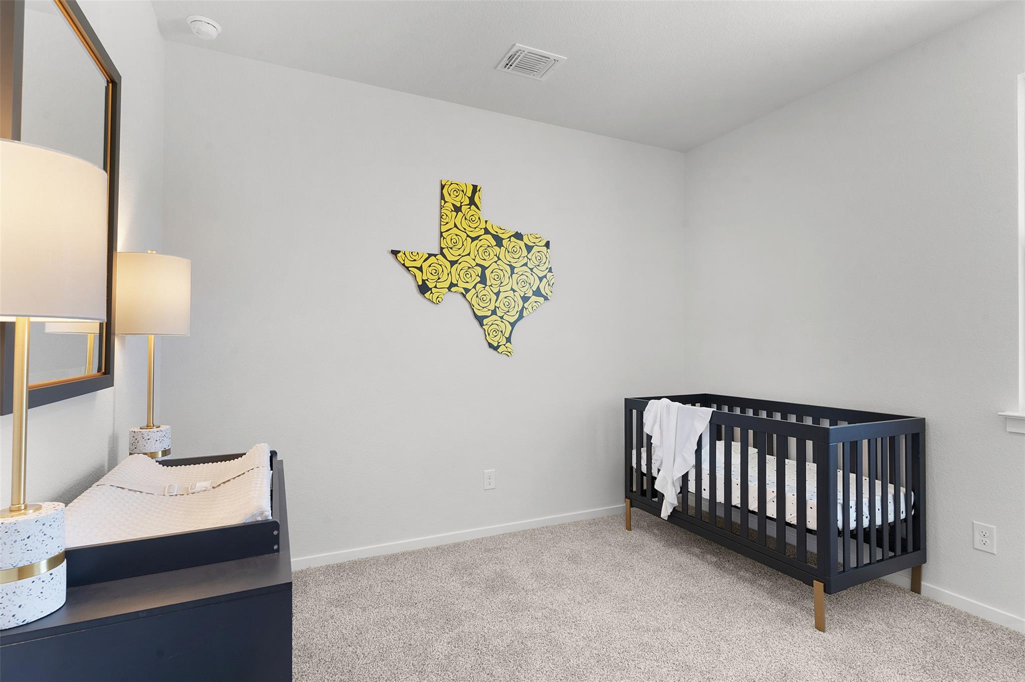 101 Coyote Willow Way, Georgetown, TX 78633