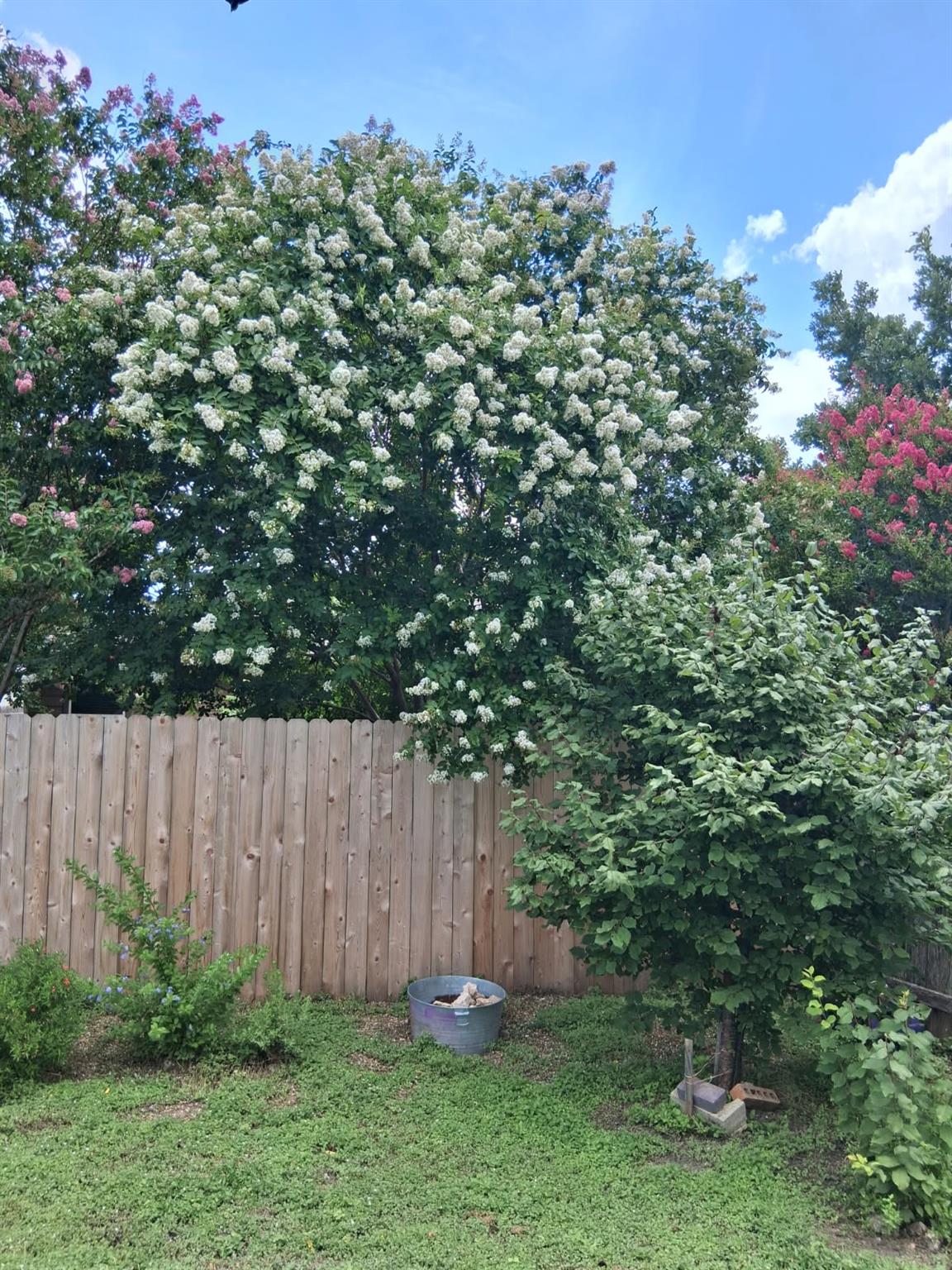 106 Wild Plum, San Marcos, TX 78666