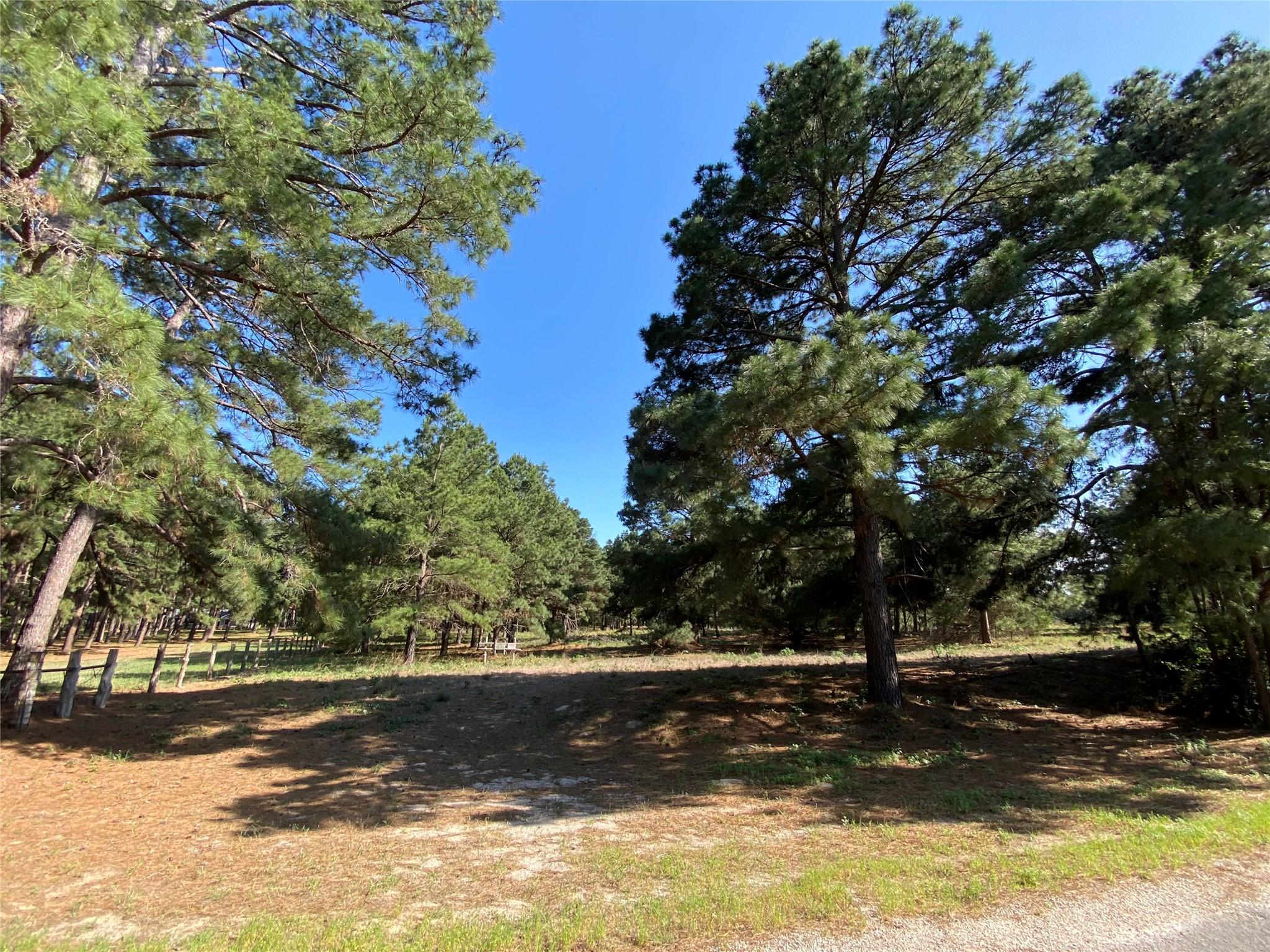 147 Oak Leaf Dr, Bastrop, TX 78602