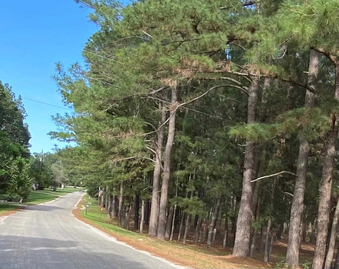 147 Oak Leaf Dr, Bastrop, TX 78602