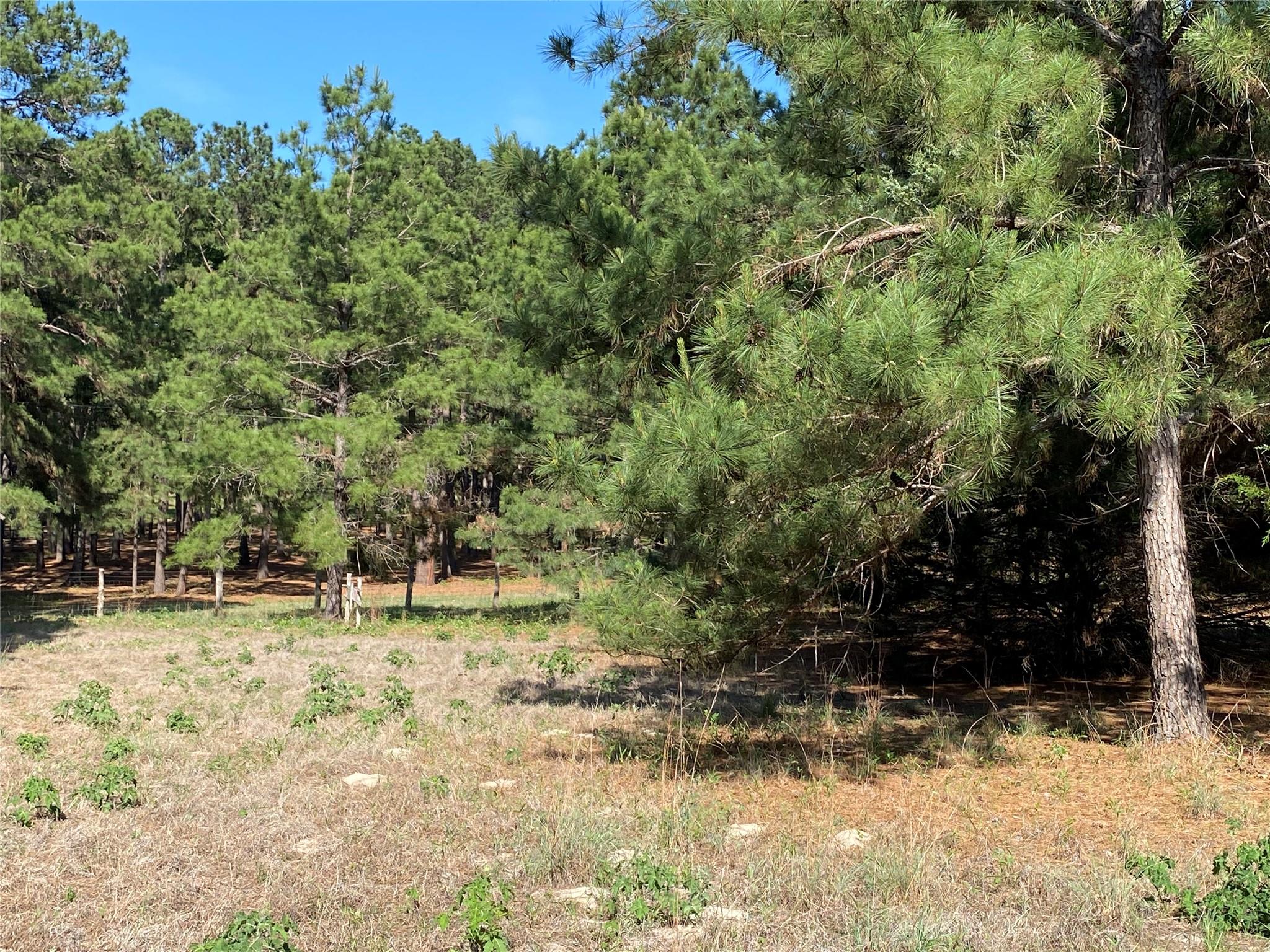 147 Oak Leaf Dr, Bastrop, TX 78602