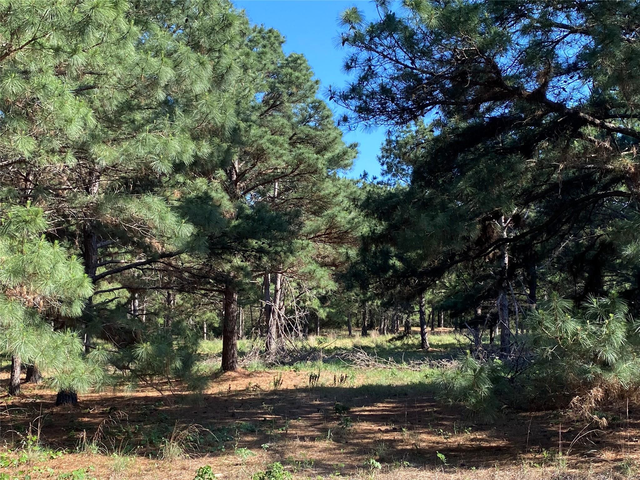 147 Oak Leaf Dr, Bastrop, TX 78602