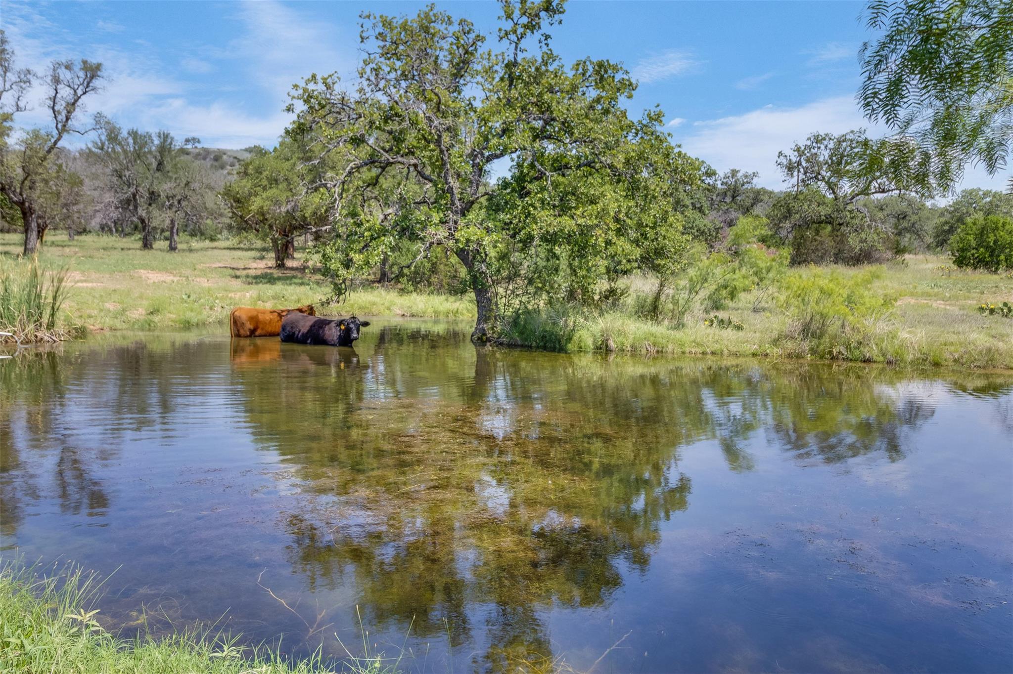 2607 Crider Rd, Marble Falls, TX 78654