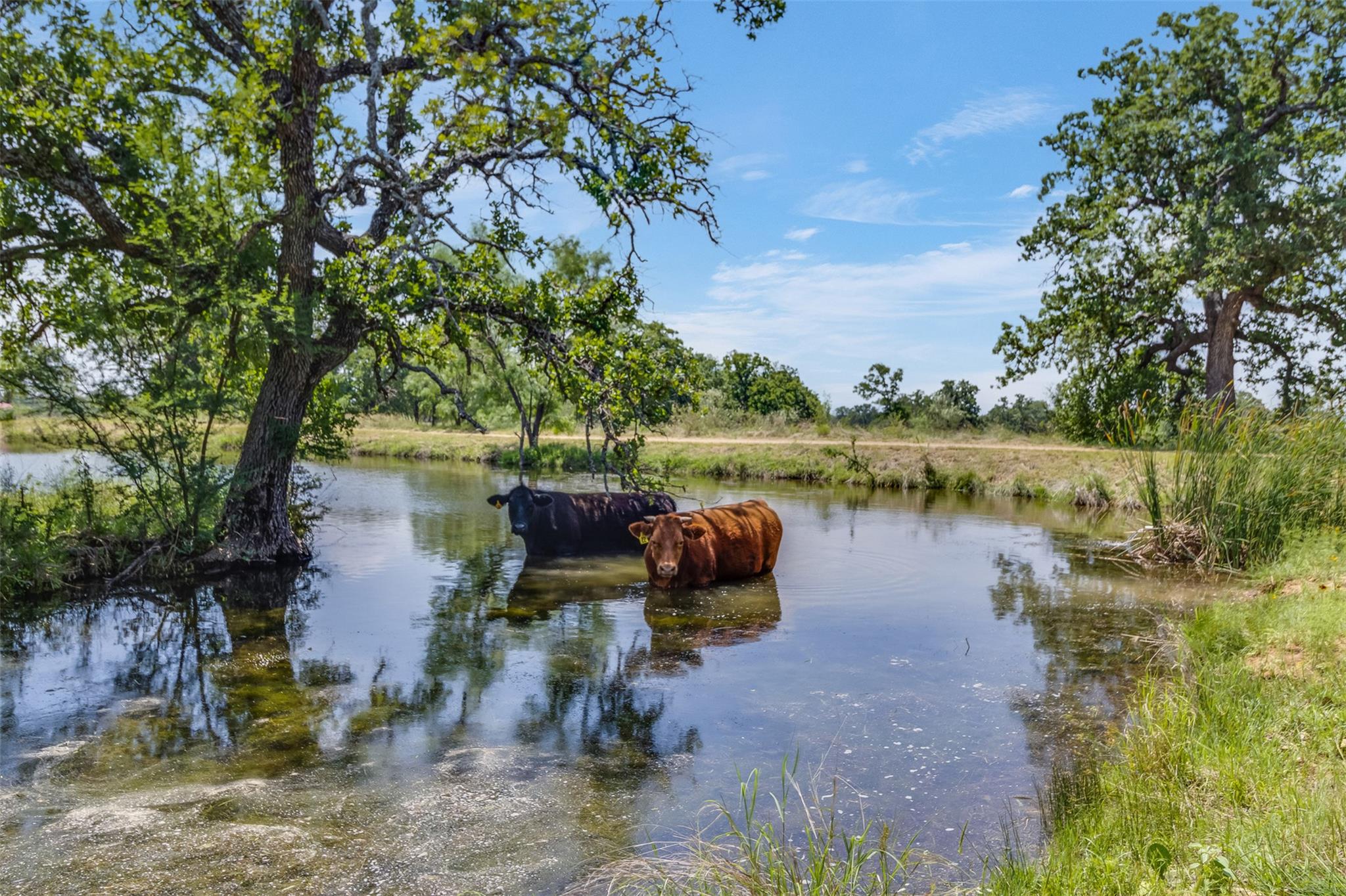 2607 Crider Rd, Marble Falls, TX 78654