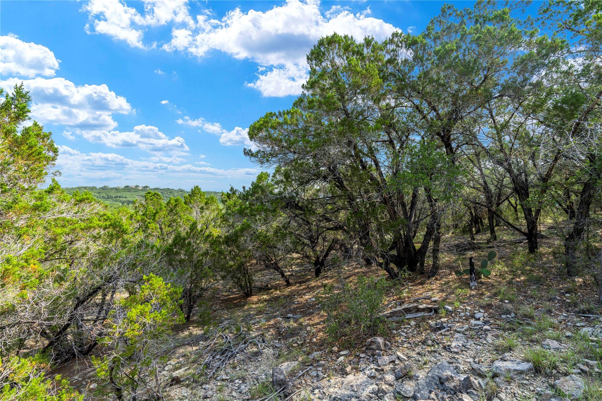 23519 Pedernales Canyon Trl # 6, Spicewood, TX 78669