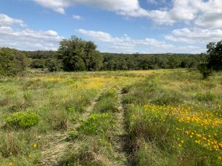 207 Verbena Ct, Johnson City, TX 78636