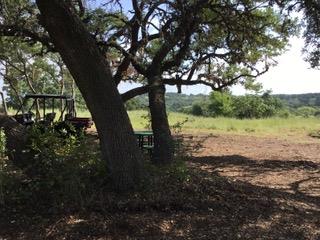 207 Verbena Ct, Johnson City, TX 78636