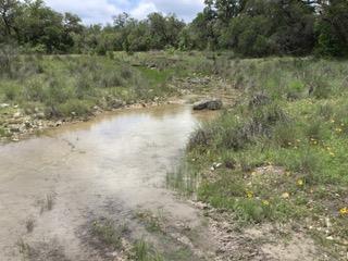 207 Verbena Ct, Johnson City, TX 78636