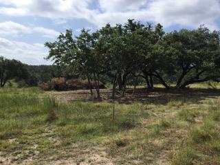 207 Verbena Ct, Johnson City, TX 78636