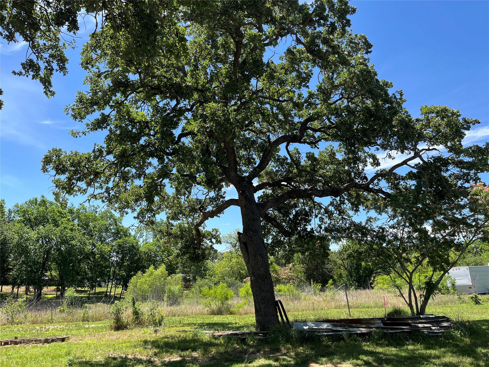 135 Belton St, McDade, TX 78650