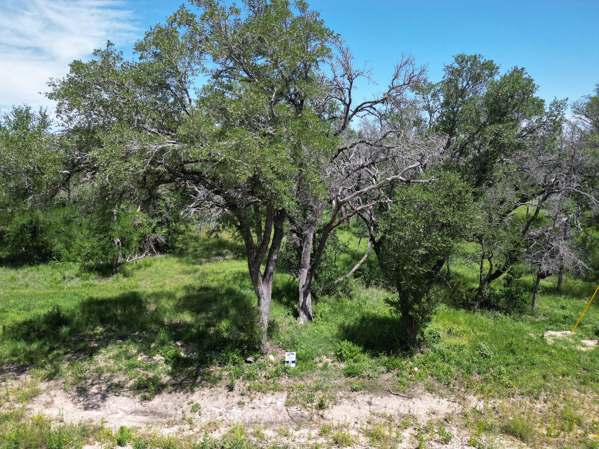 Lot 61 Rycen Dr, Bertram, TX 78605