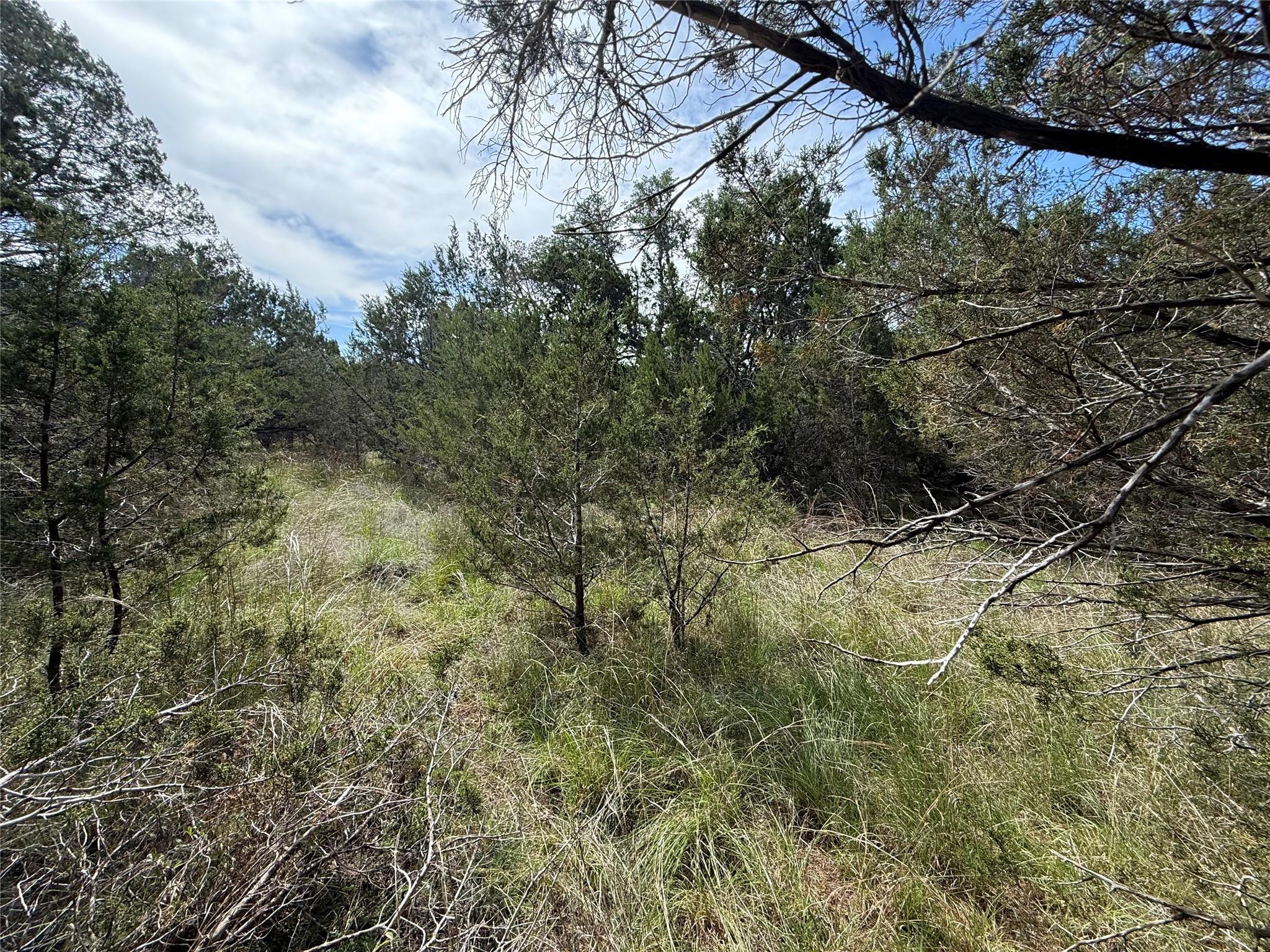 38 Heathrow Ln, Wimberley, TX 78676