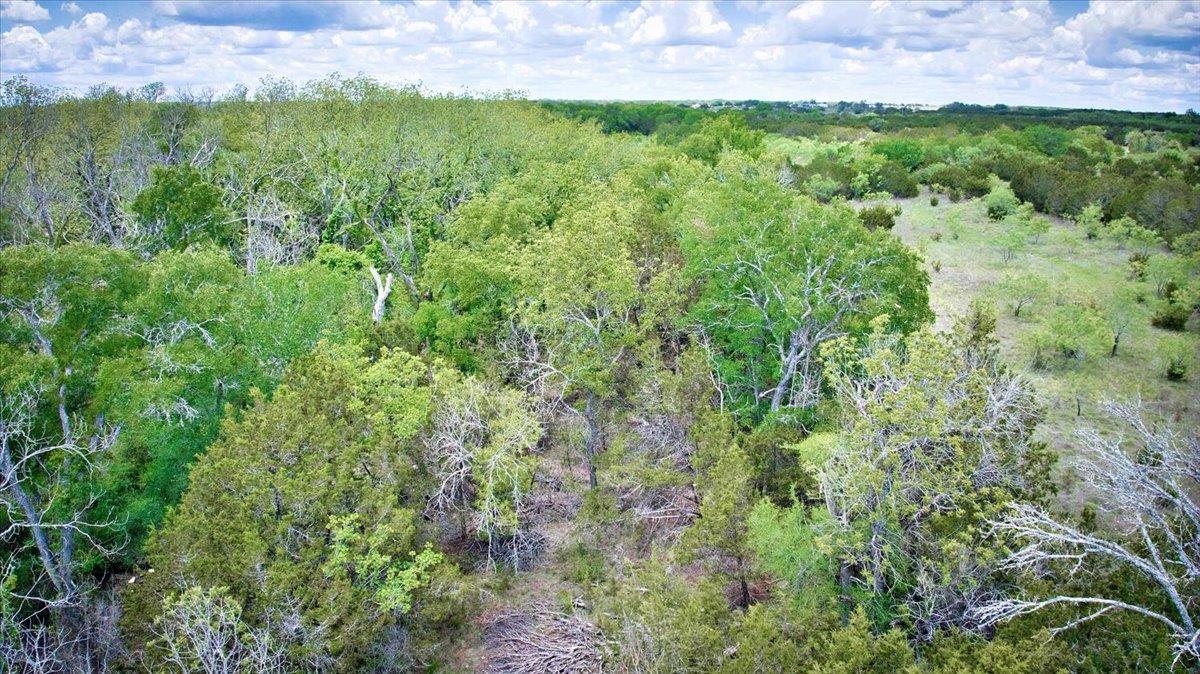 4220 County Road 202, Burnet, TX 78611