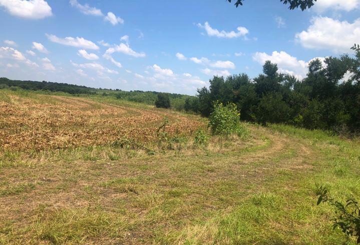 TBD CR 421, Thrall TX 765 County Road 421, Thrall, TX 76578