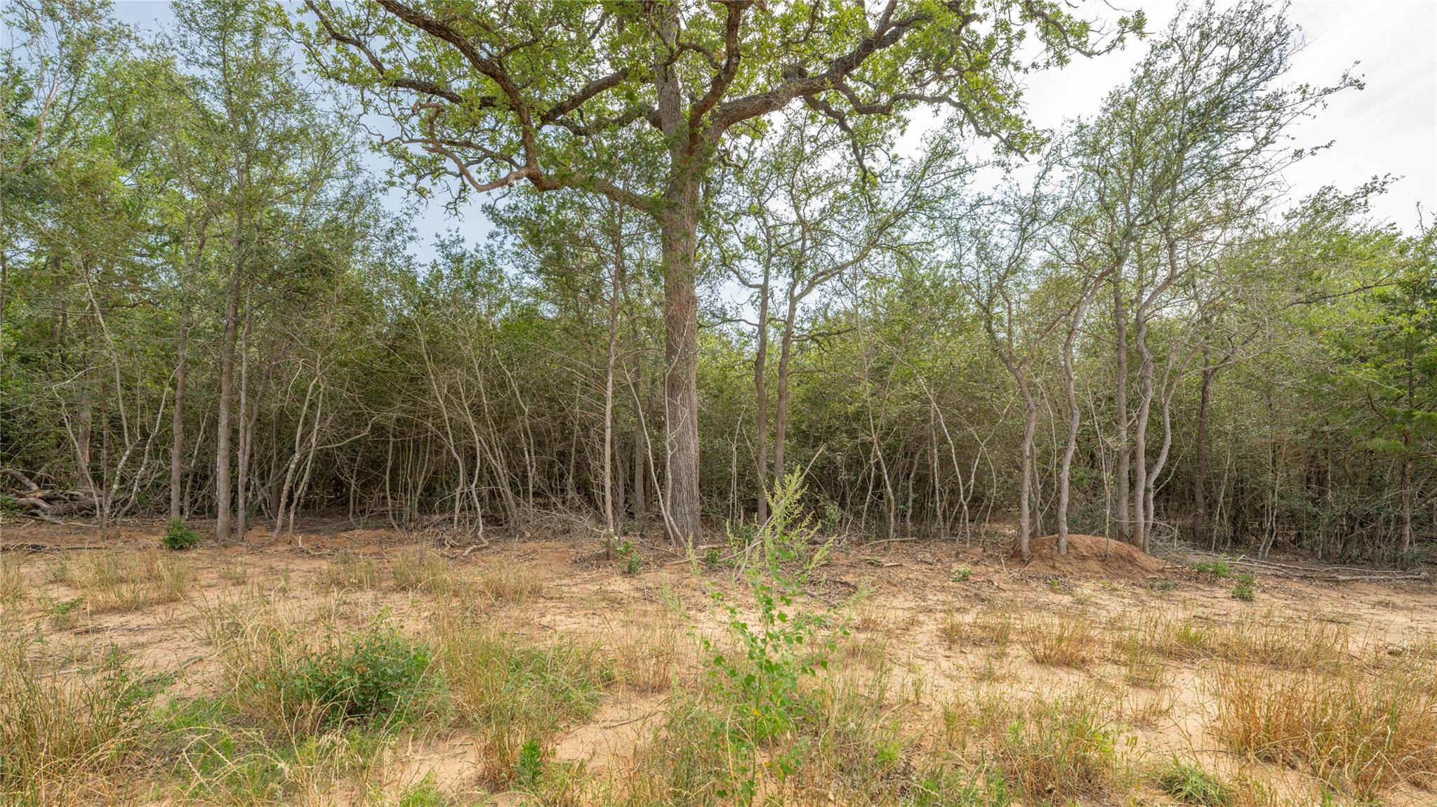 926 Ferguson Loop, Dale, TX 78616