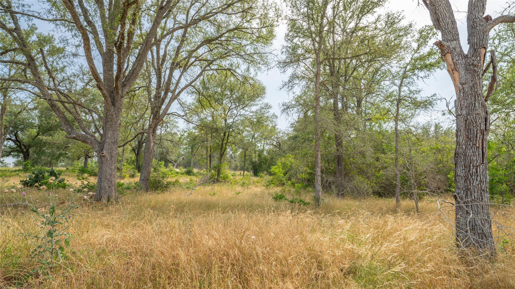 960 Ferguson Loop, Dale, TX 78616