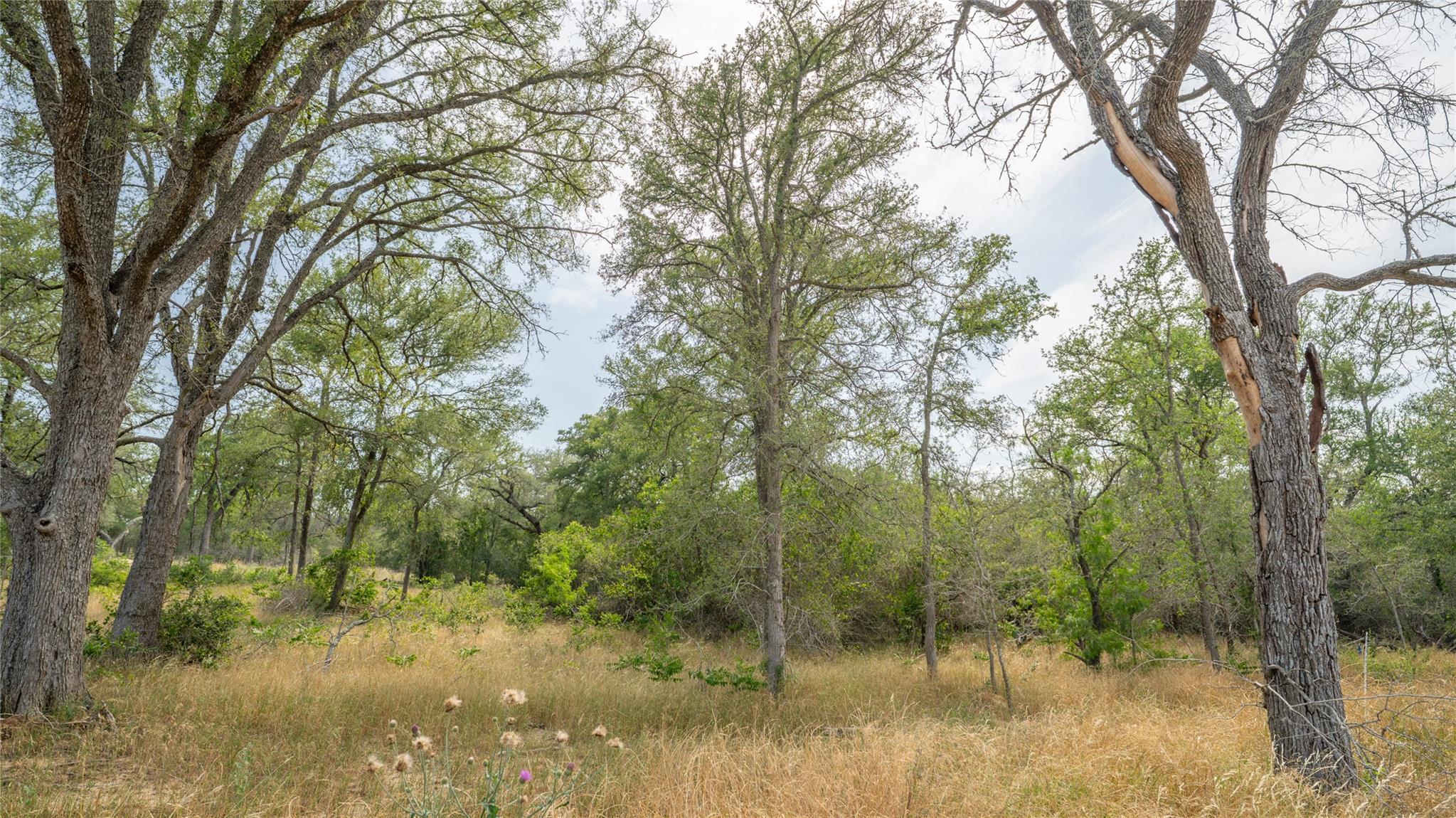 960 Ferguson Loop, Dale, TX 78616