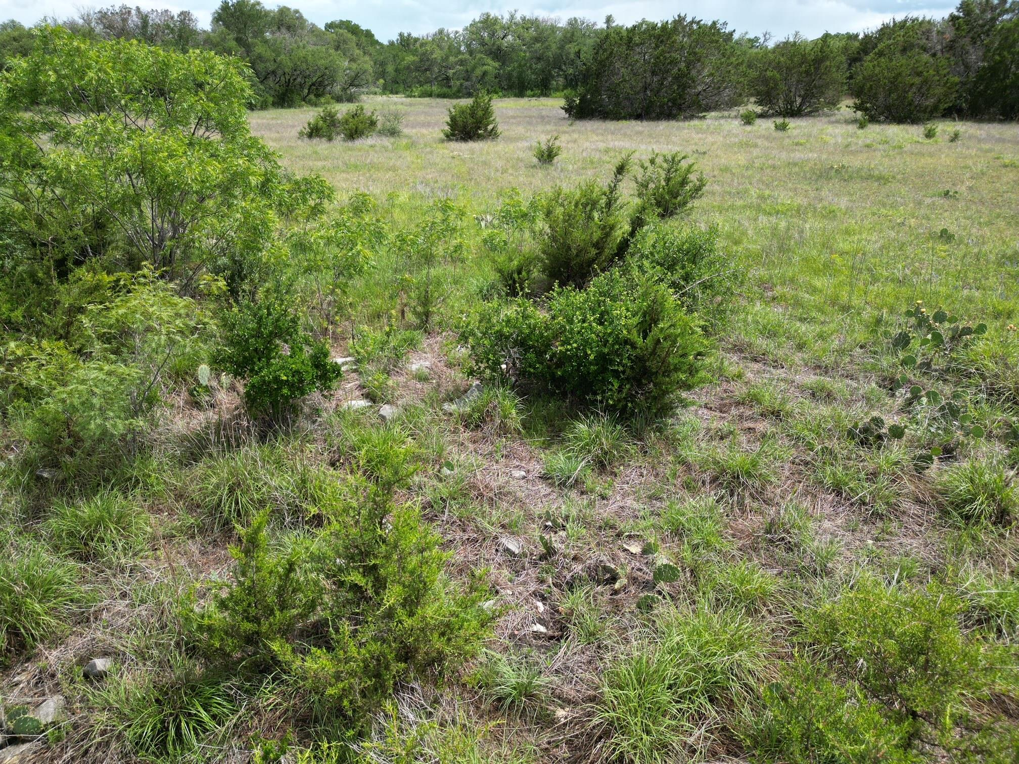Lot 58 Serenity Dr, Bertram, TX 78605