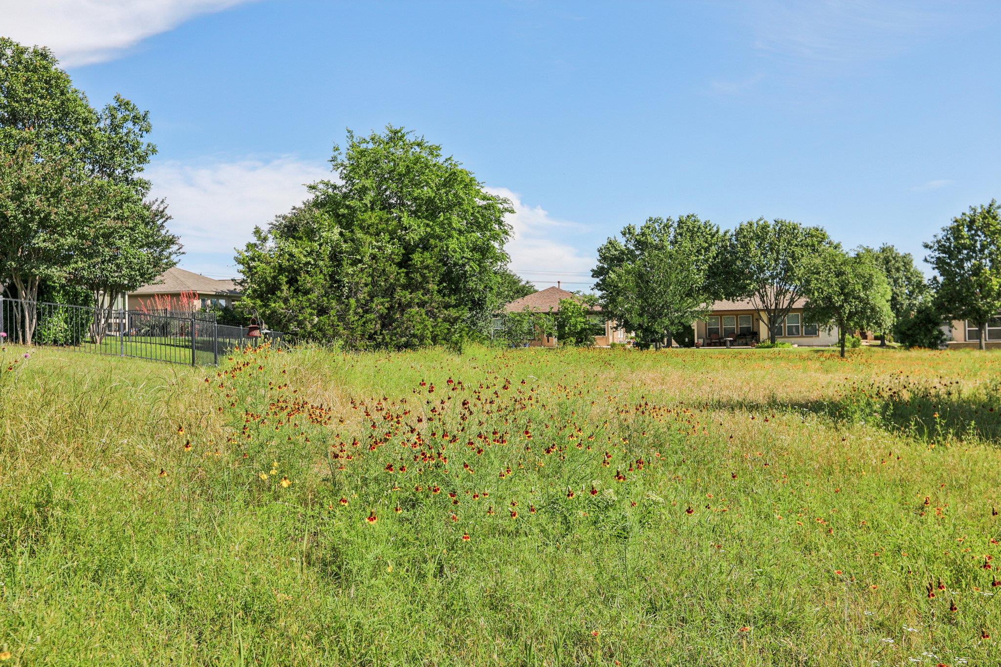 210 Salt Creek Ln, Georgetown, TX 78633