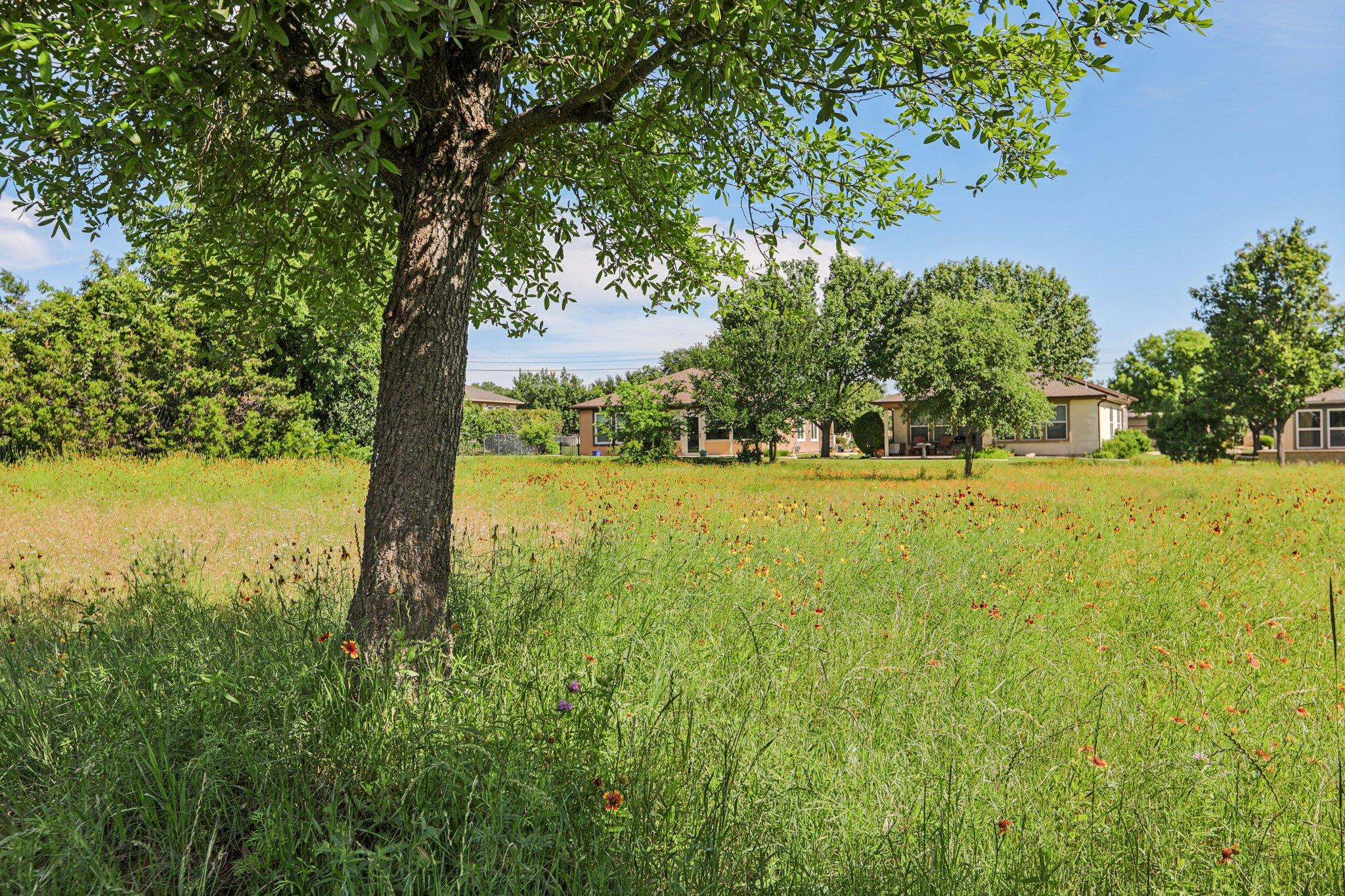 210 Salt Creek Ln, Georgetown, TX 78633