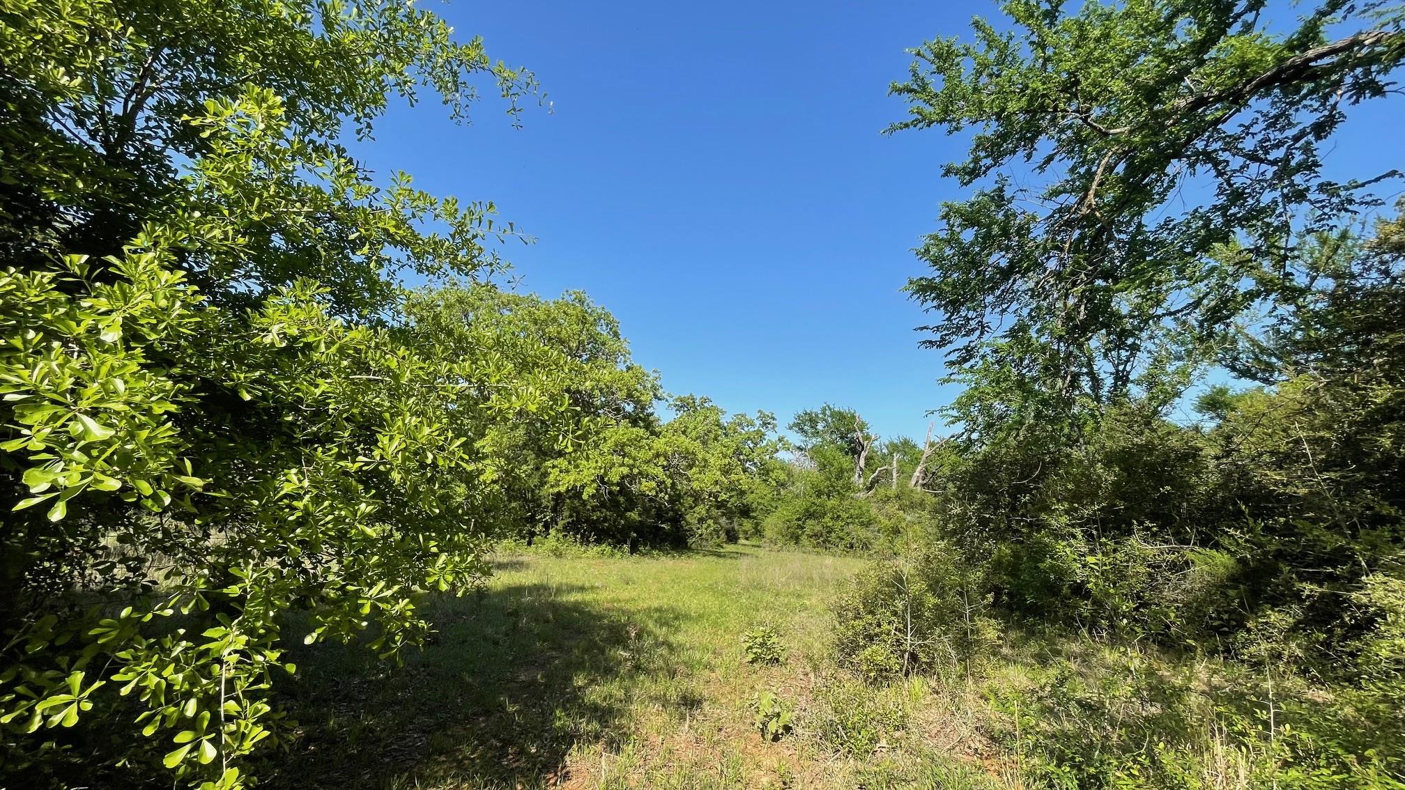 2876 Grant Prairie Rd (+/-75.7 acres), Franklin, TX 77856